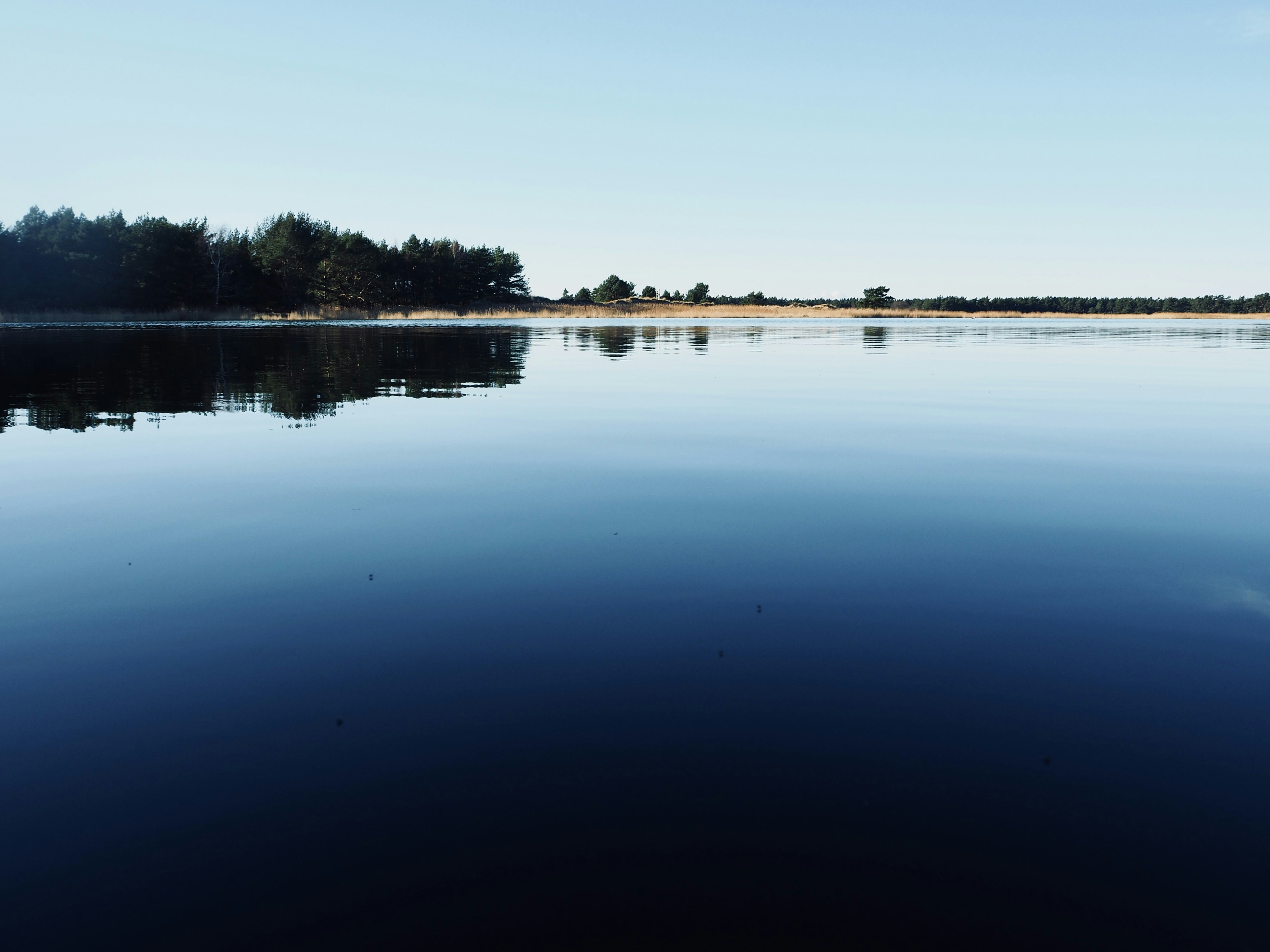 Photo by caroline_2603