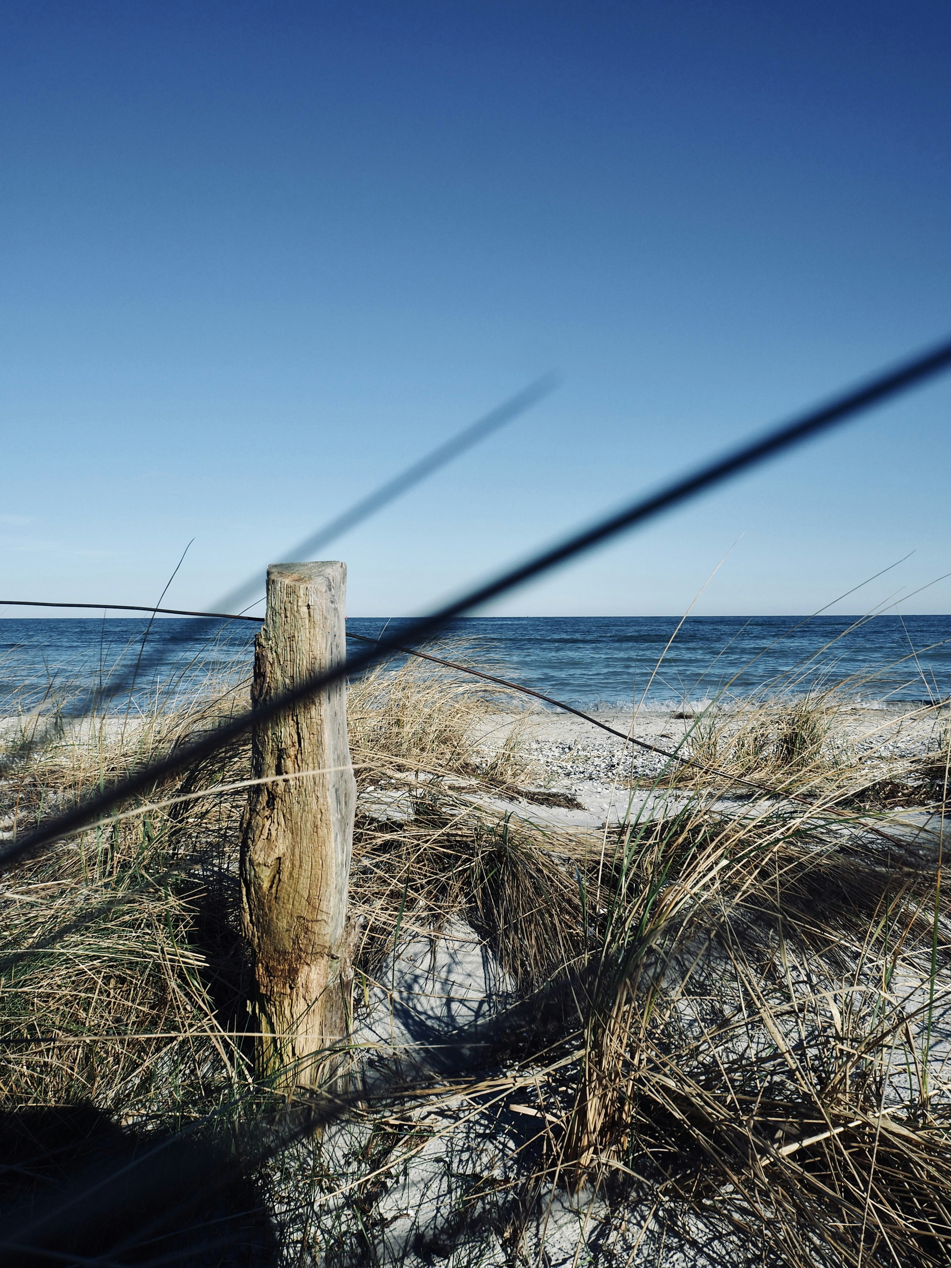 Photo by caroline_2603