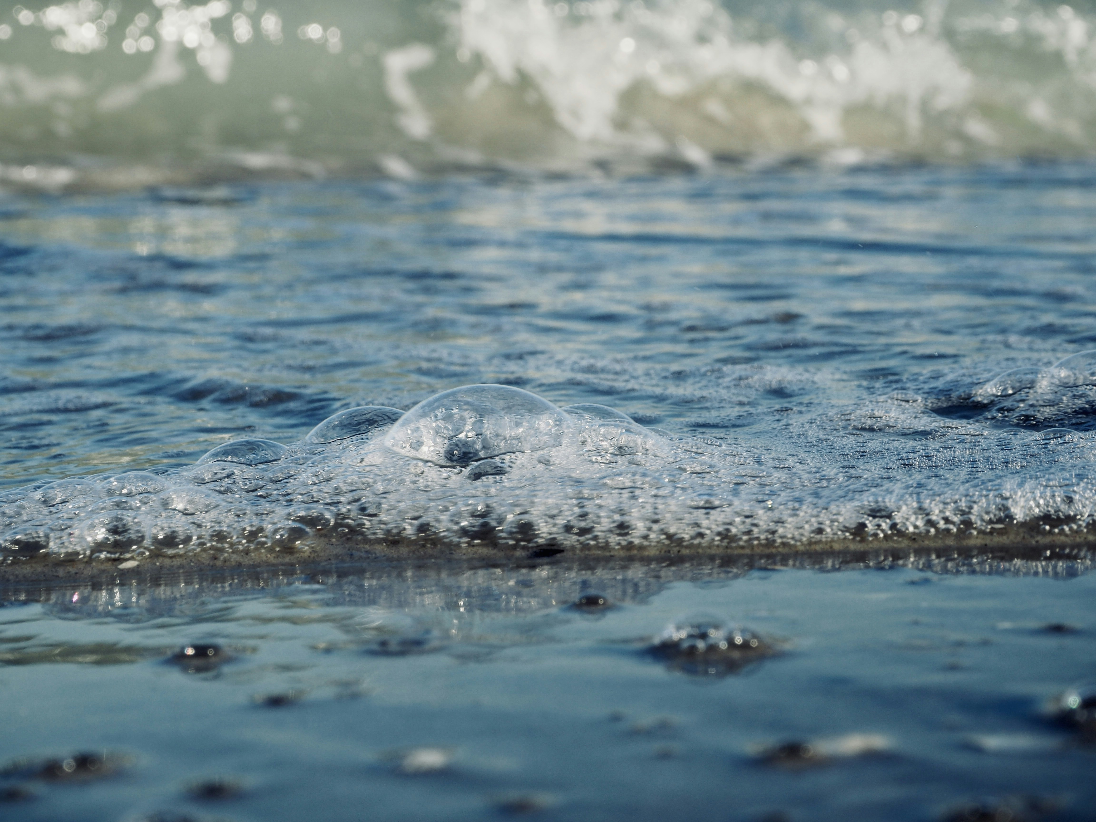 Photo by caroline_2603