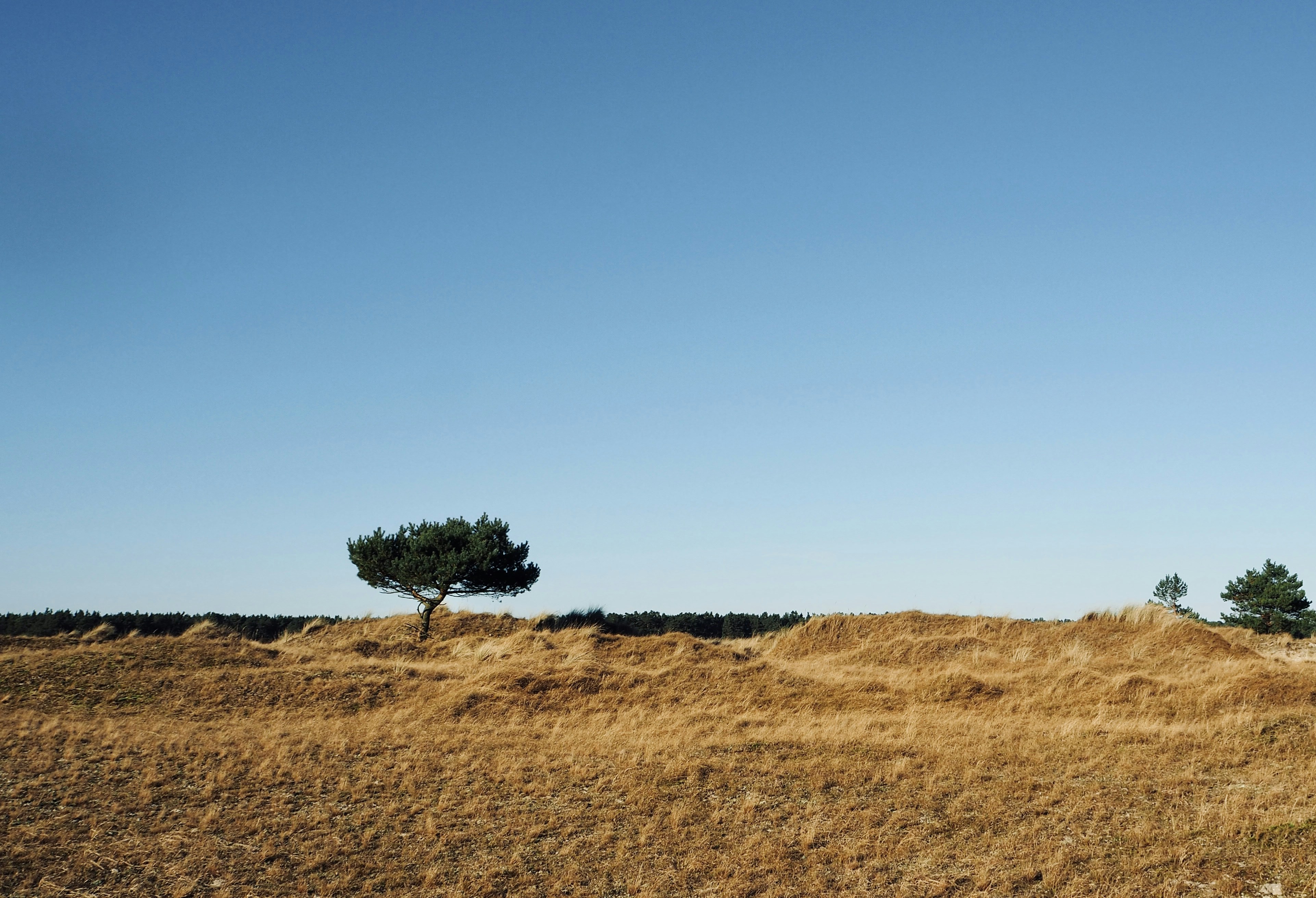 Photo by caroline_2603