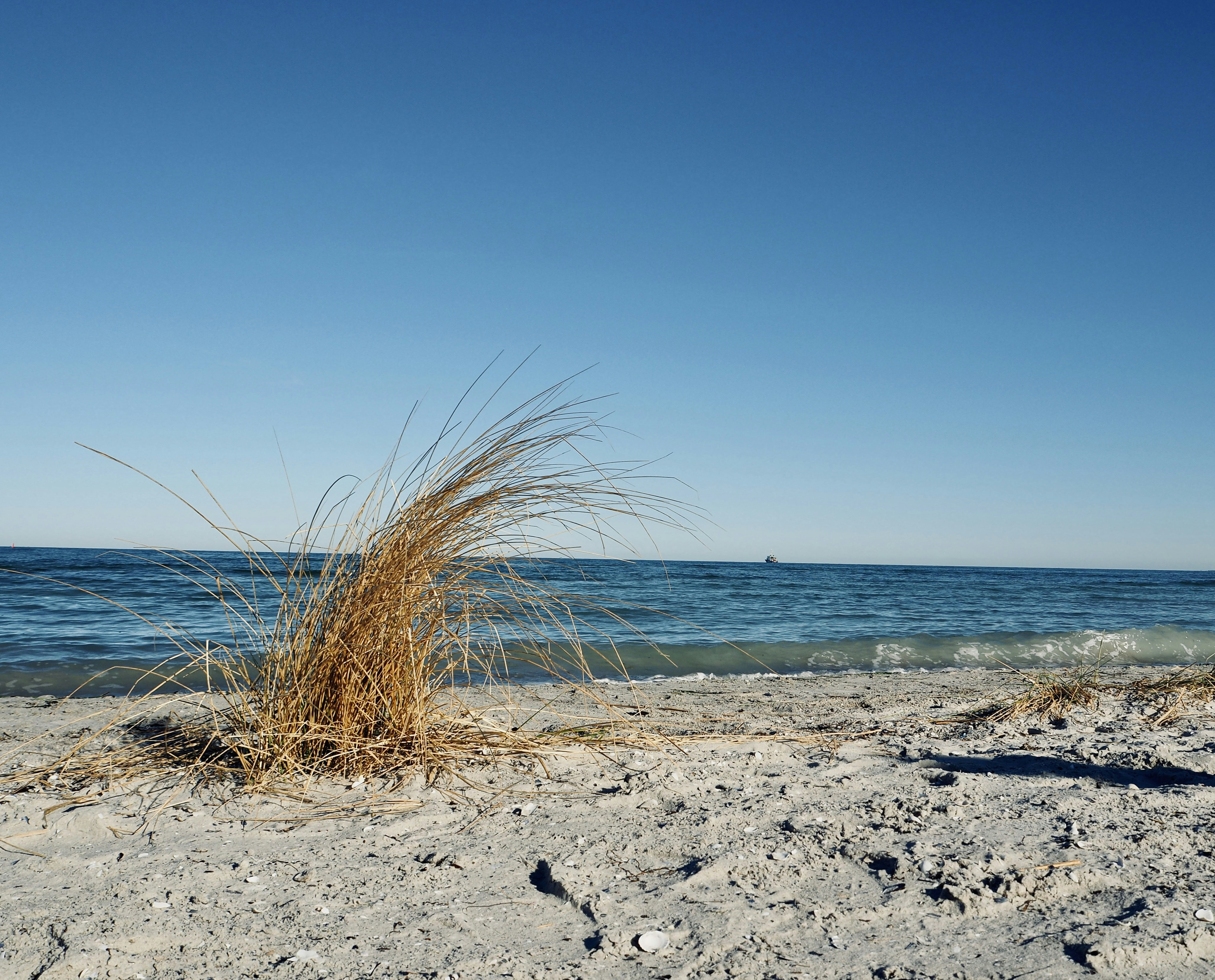 Photo by caroline_2603