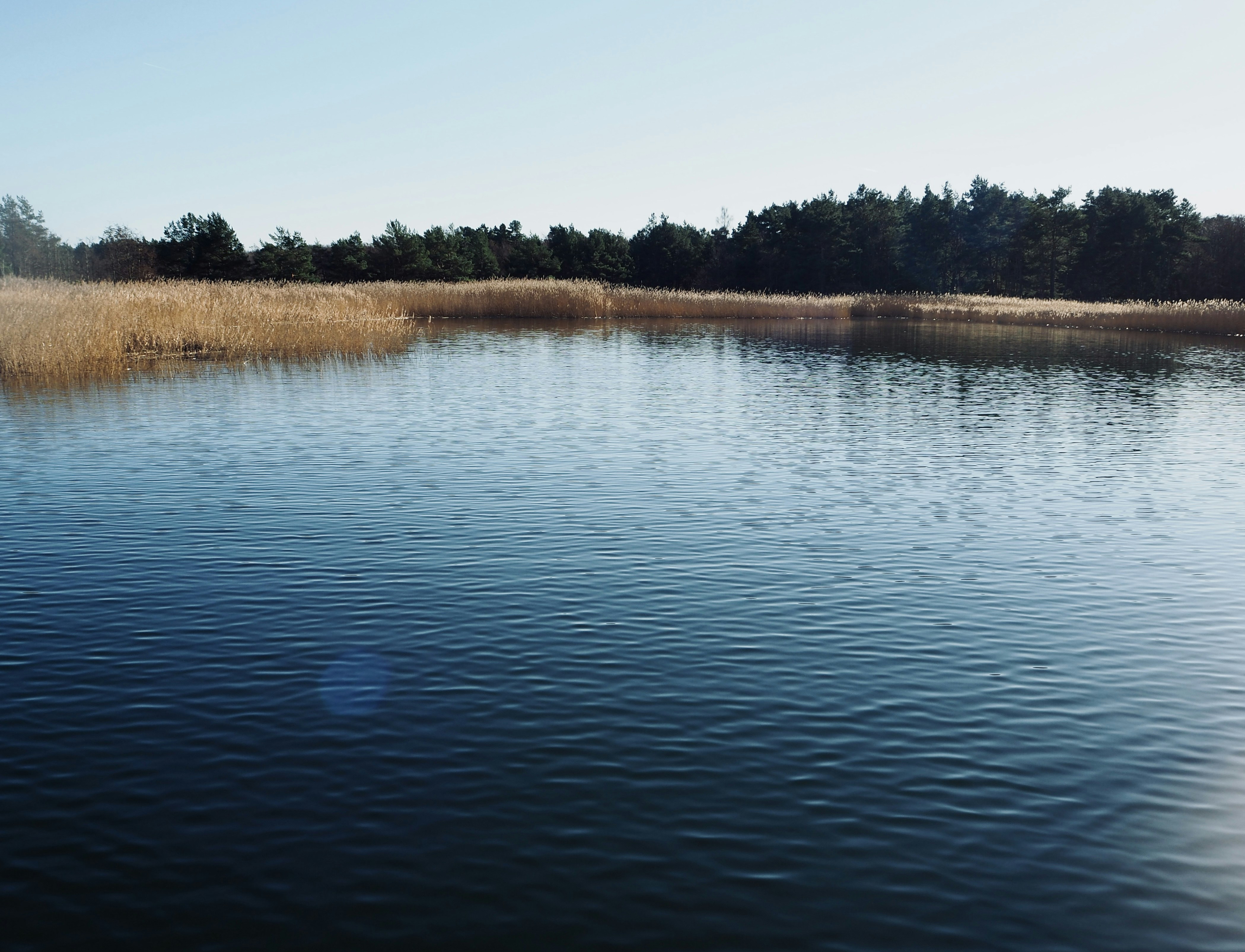 Photo by caroline_2603