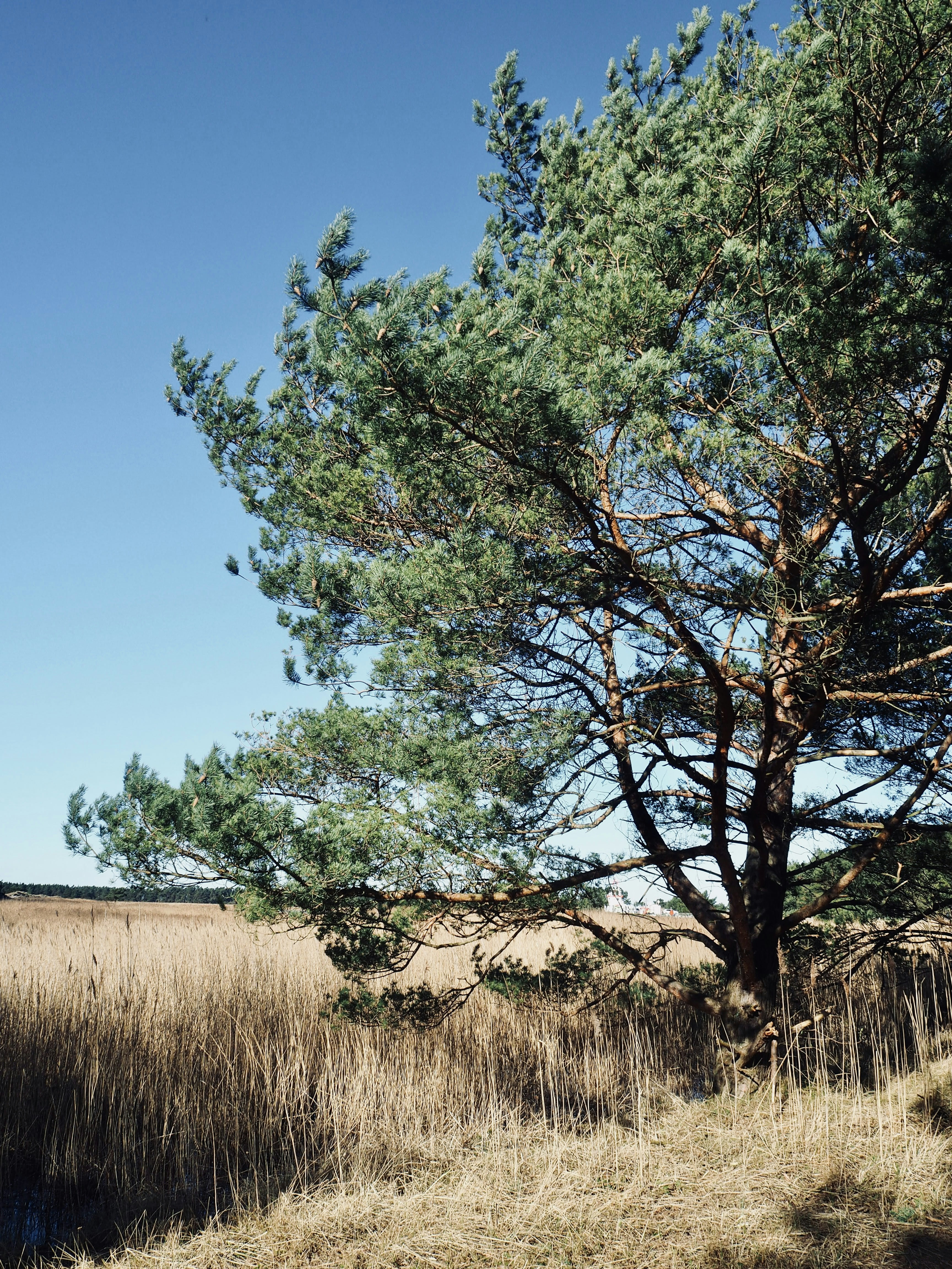 Photo by caroline_2603