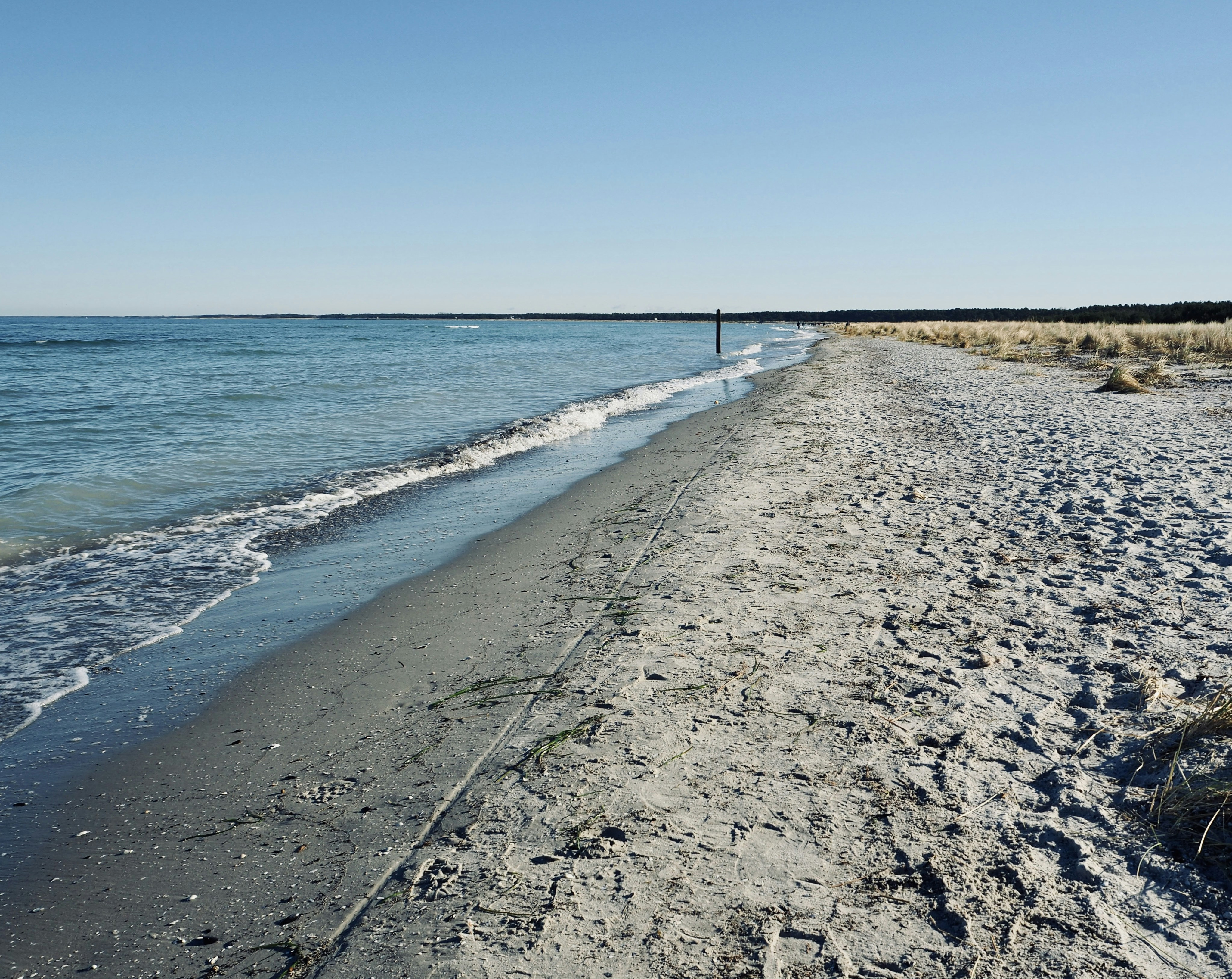 Photo by caroline_2603