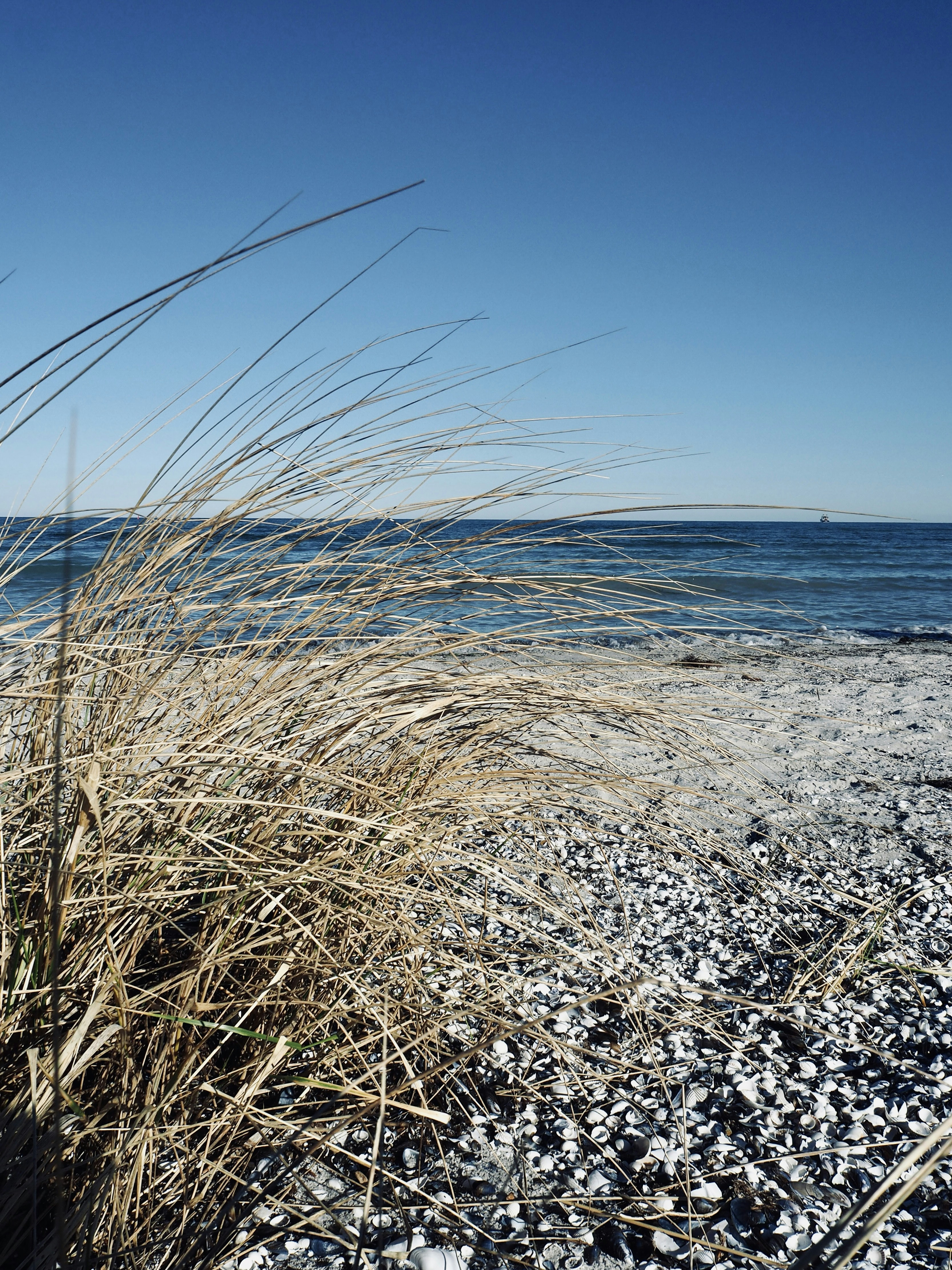 Photo by caroline_2603