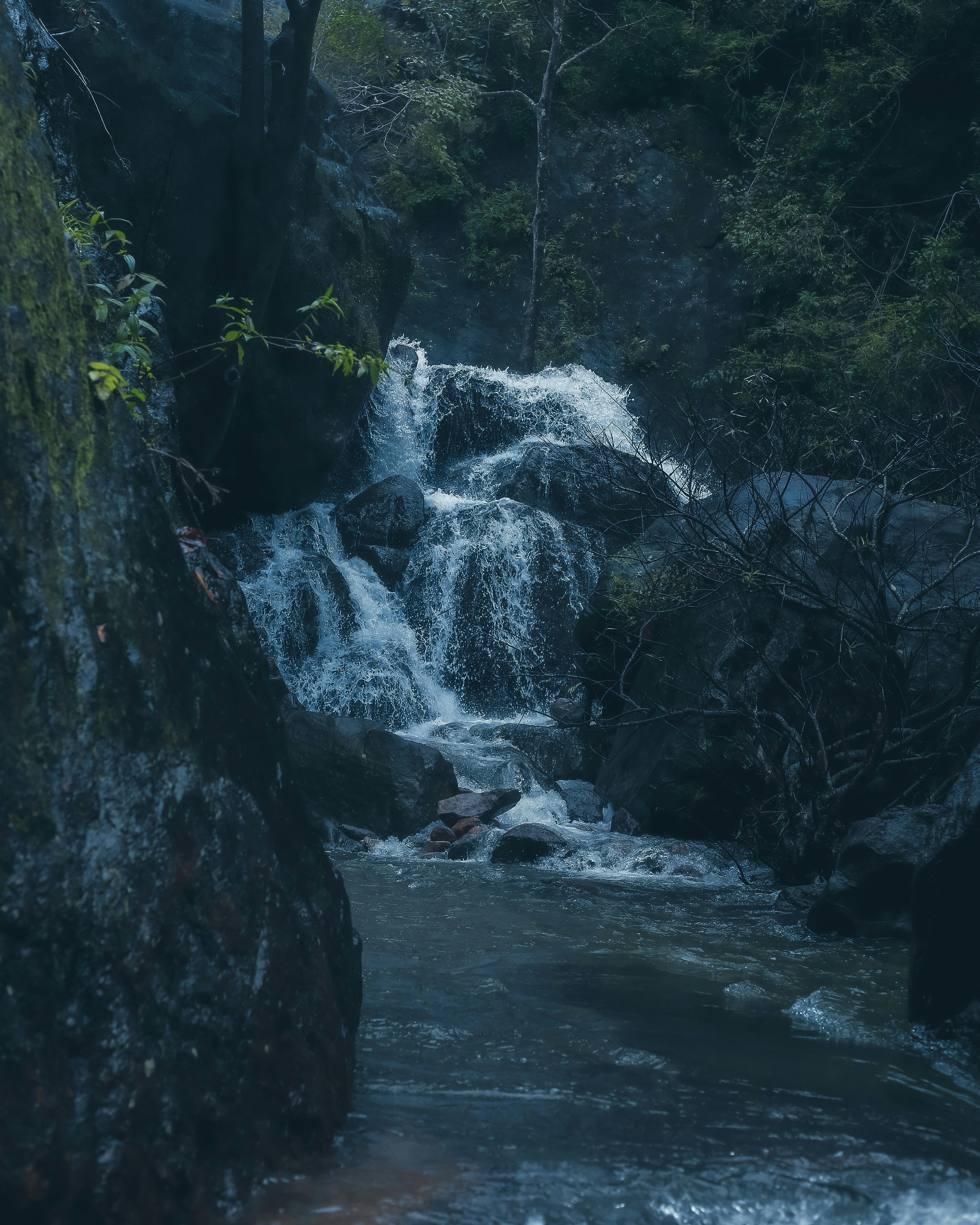 Photo by abhishek_ajith