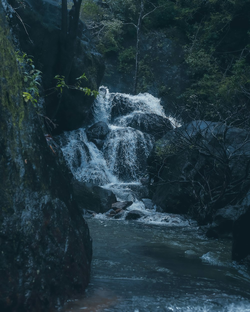 a small waterfall in the middle of a forest