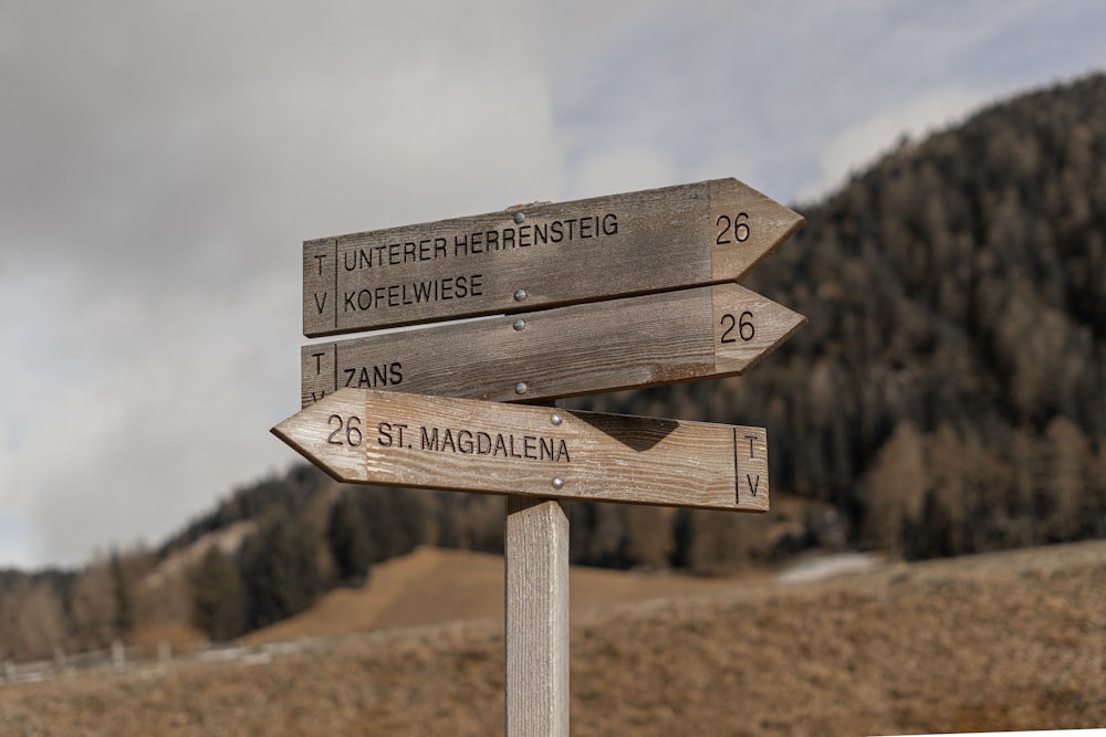 a wooden sign pointing in different directions in front of a mountain