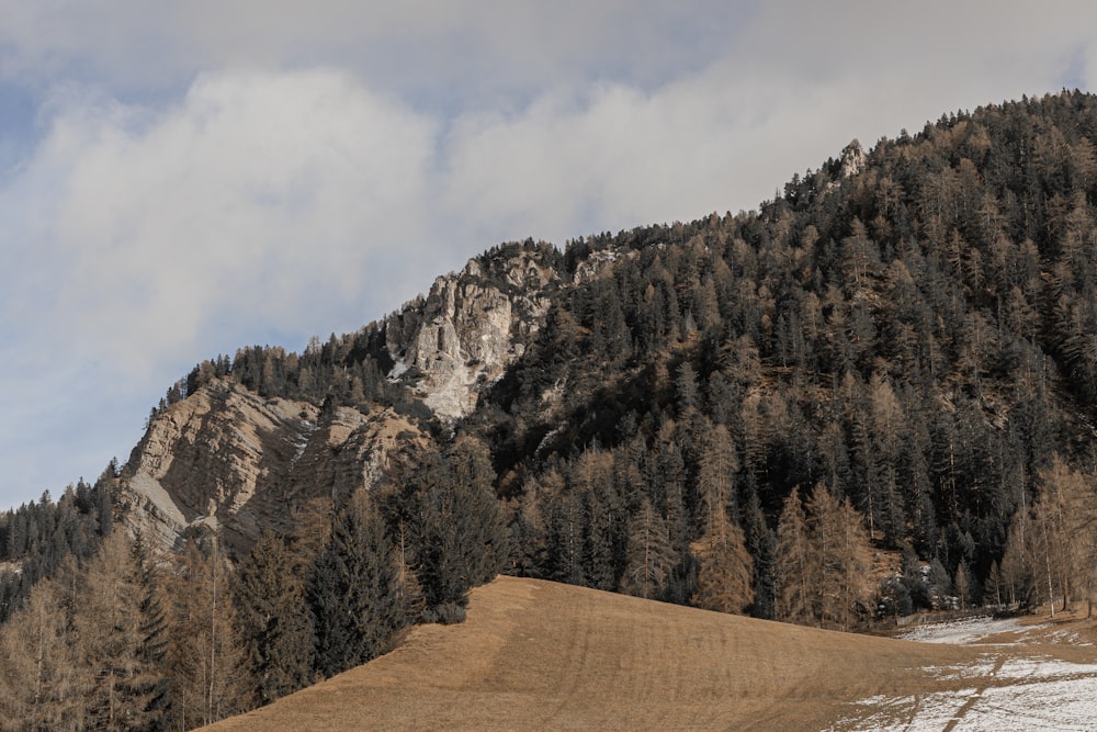 a snow covered hill with trees on top of it