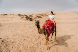 A person sitting on a camel in a vast desert landscape. The camel is adorned with a vibrant red saddle blanket. The sand dunes stretch into the horizon under a clear sky, with some sparse vegetation scattered around.