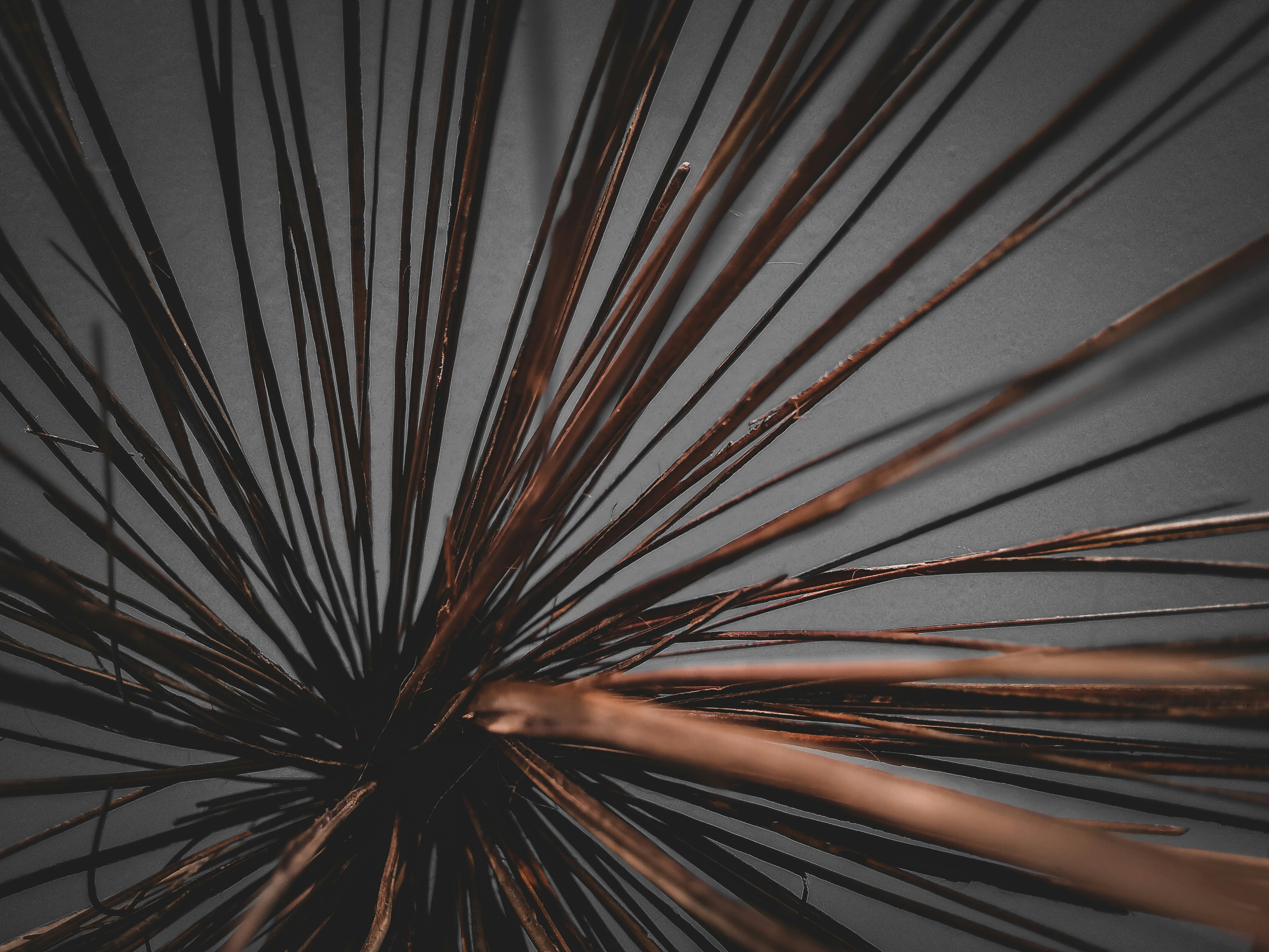 Photo by tahirwani_432