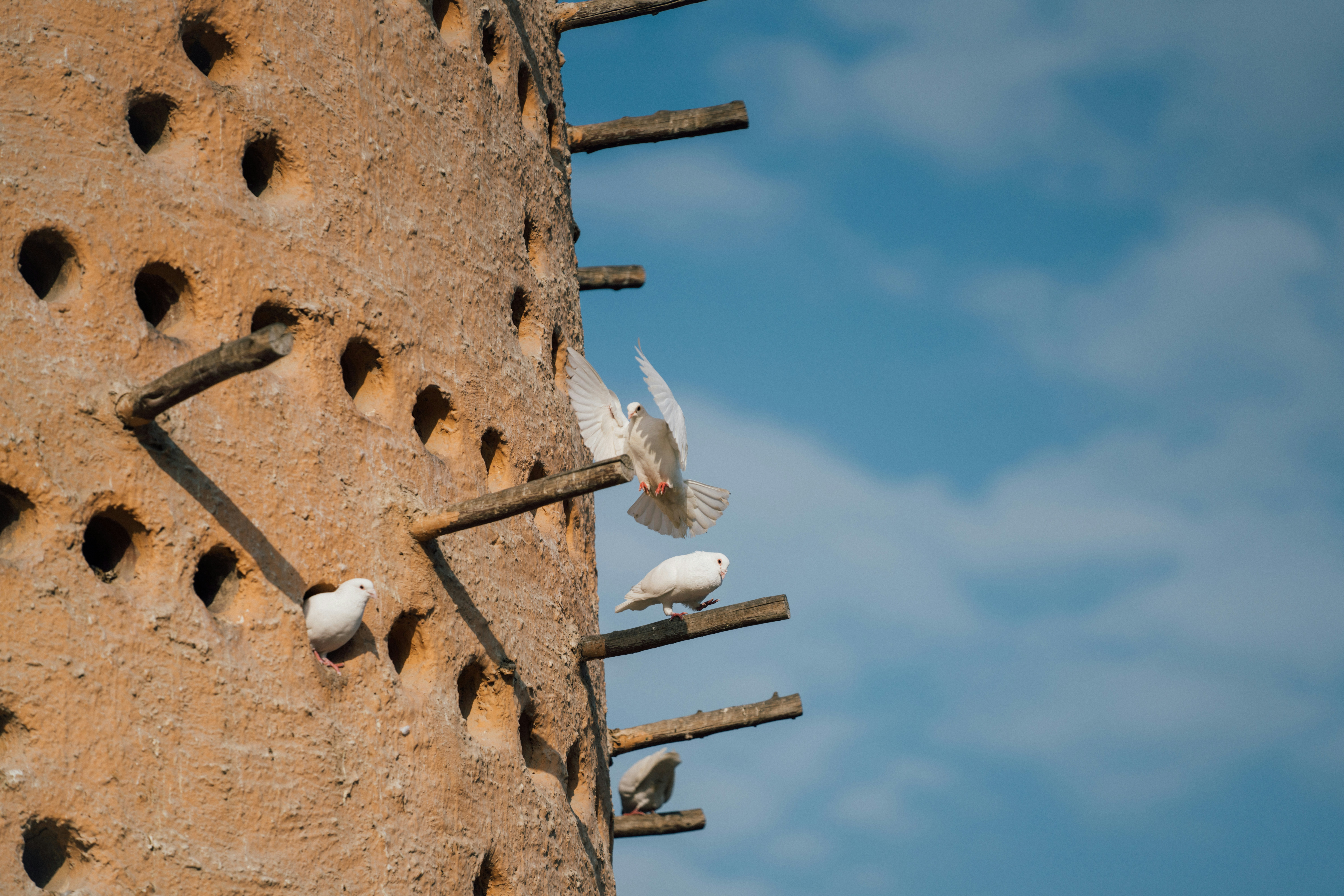 Photo by visitqatar