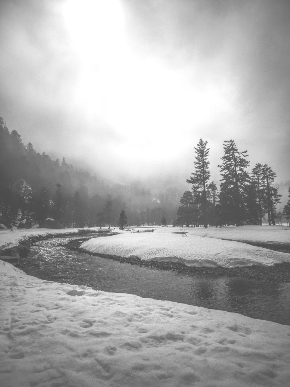 a river running through a snow covered forest