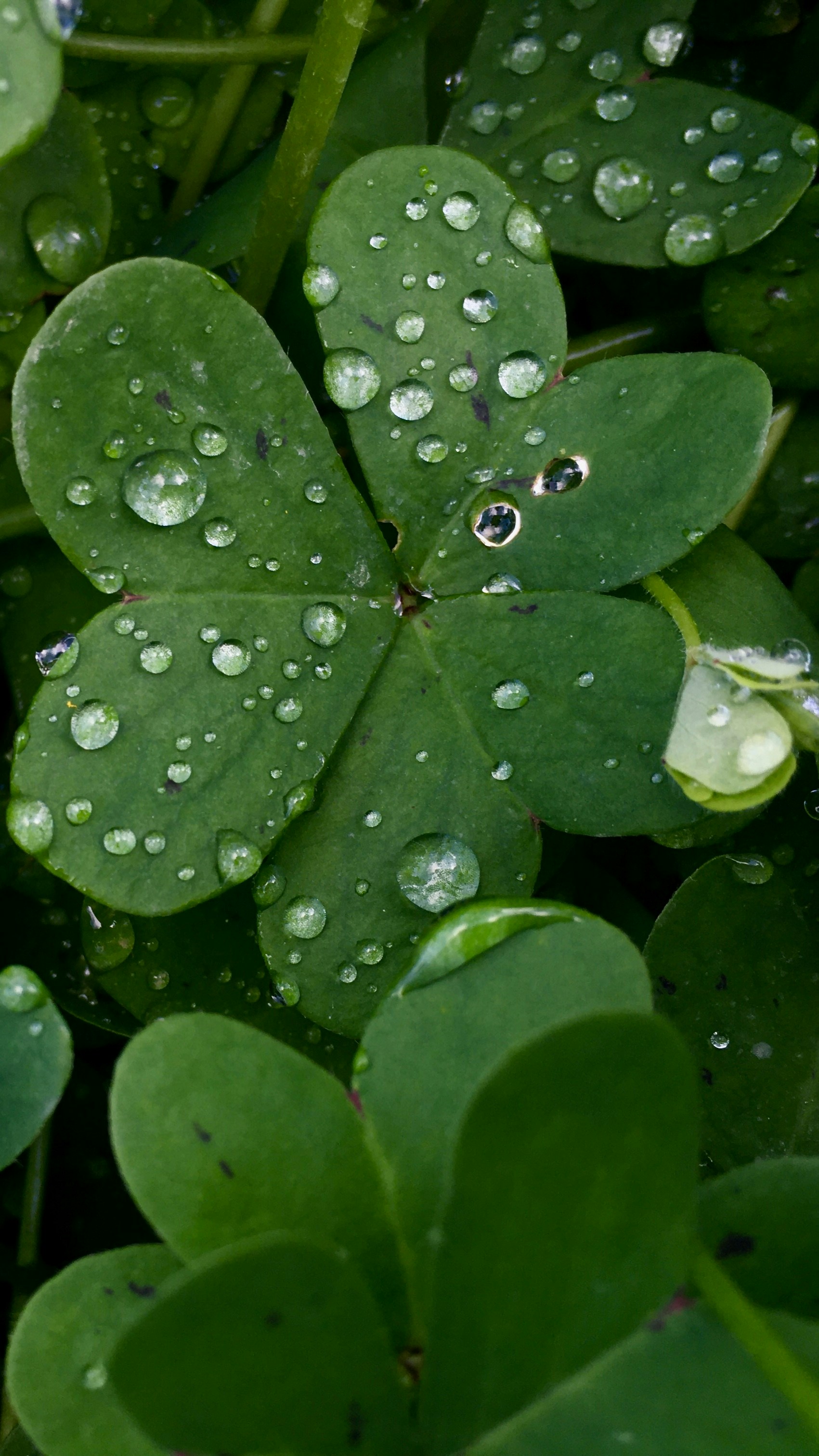 Photo by nour_eddine