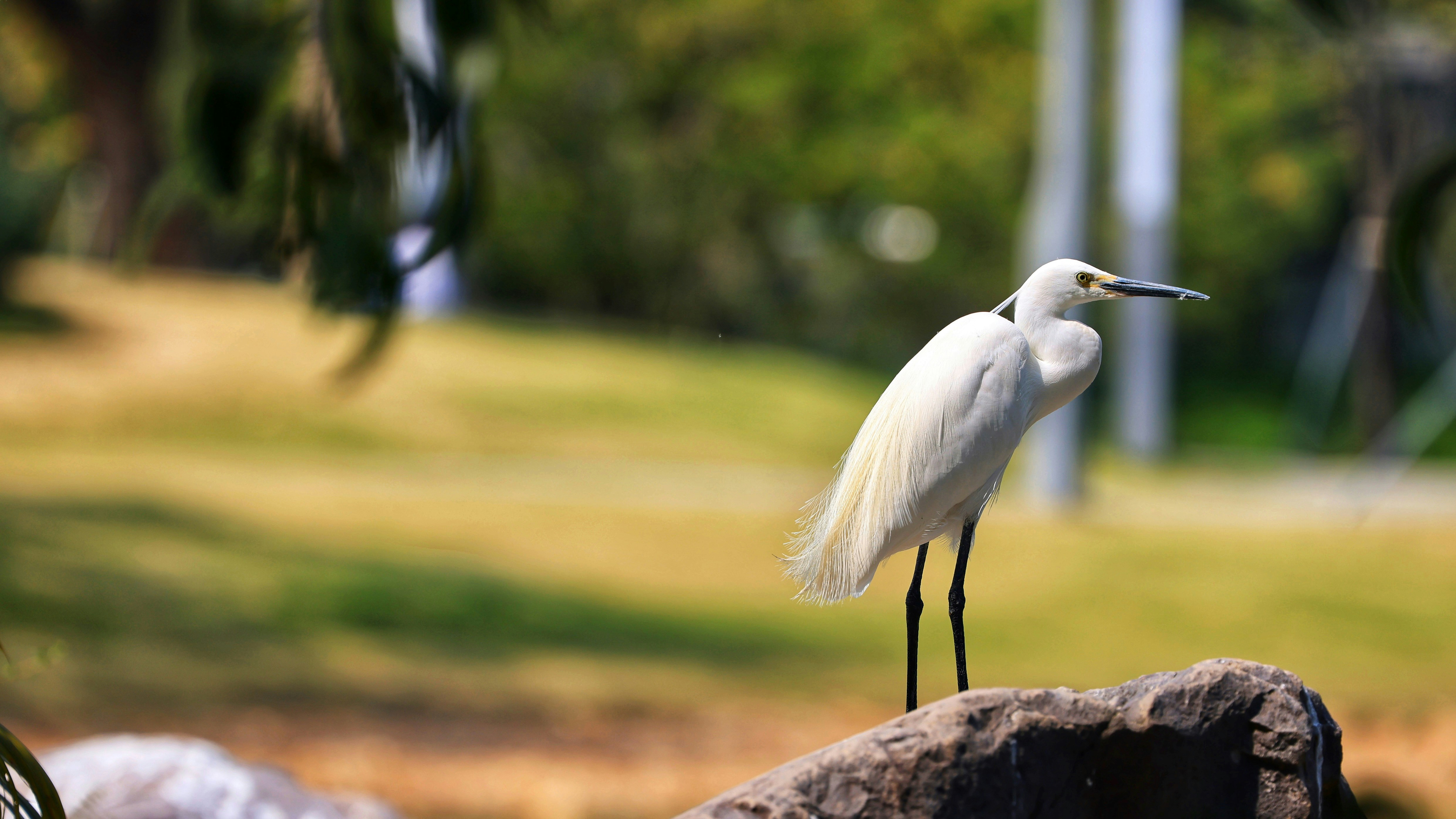 Photo by dickenslin76