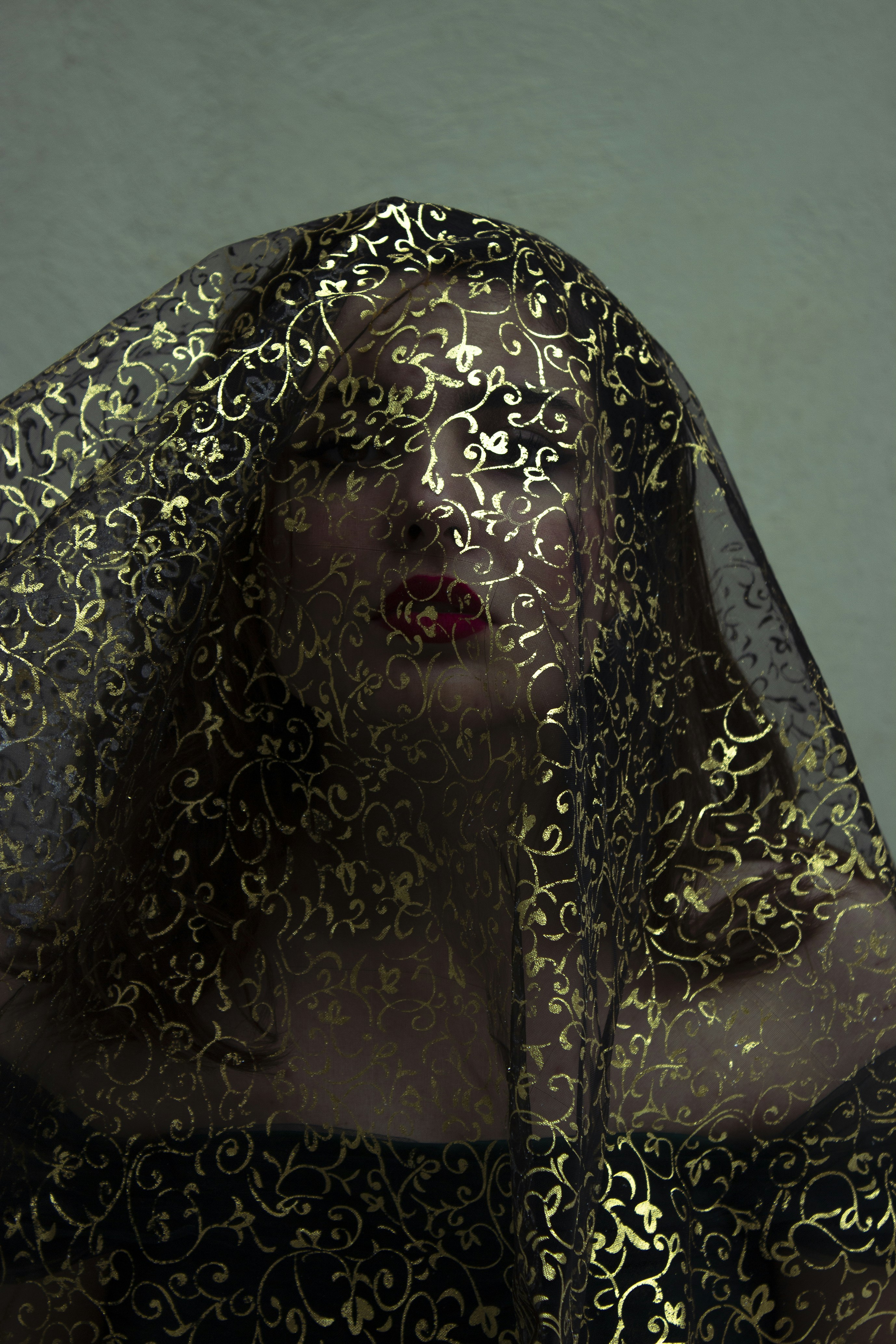 Photo by baranlotfollahi