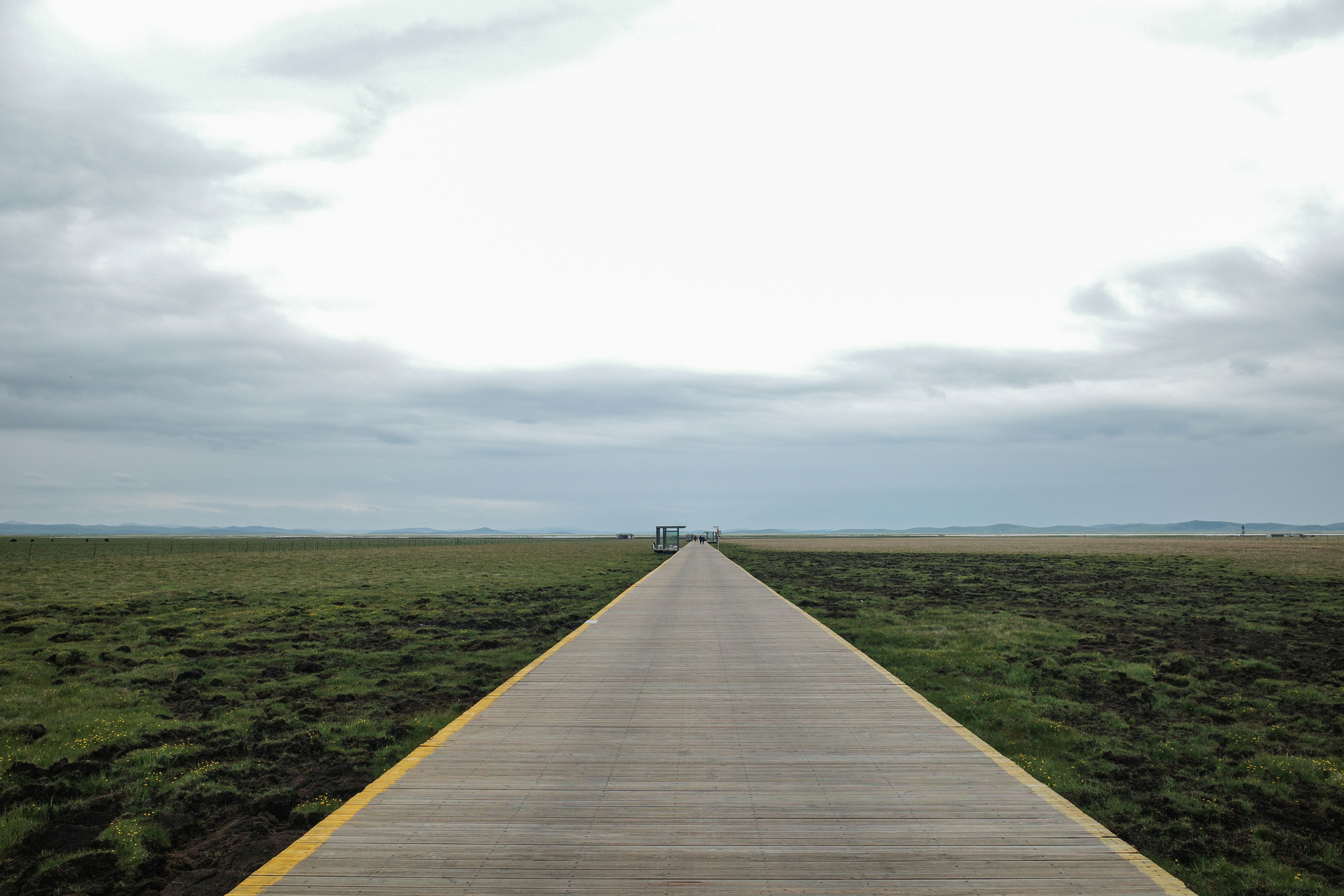 wetland trail
