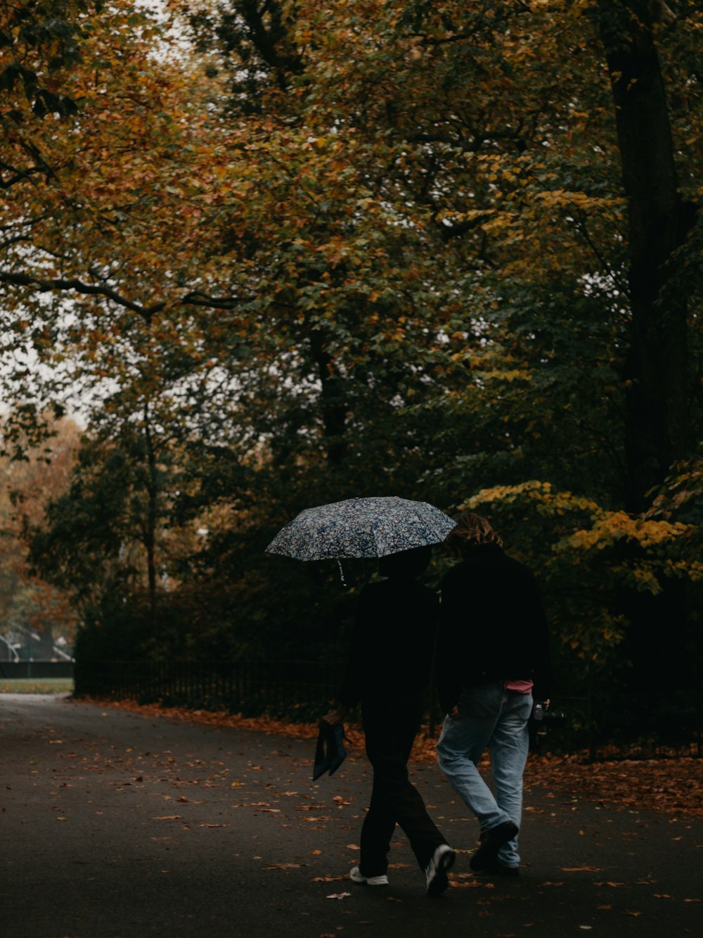 two people walking down a road holding umbrellas