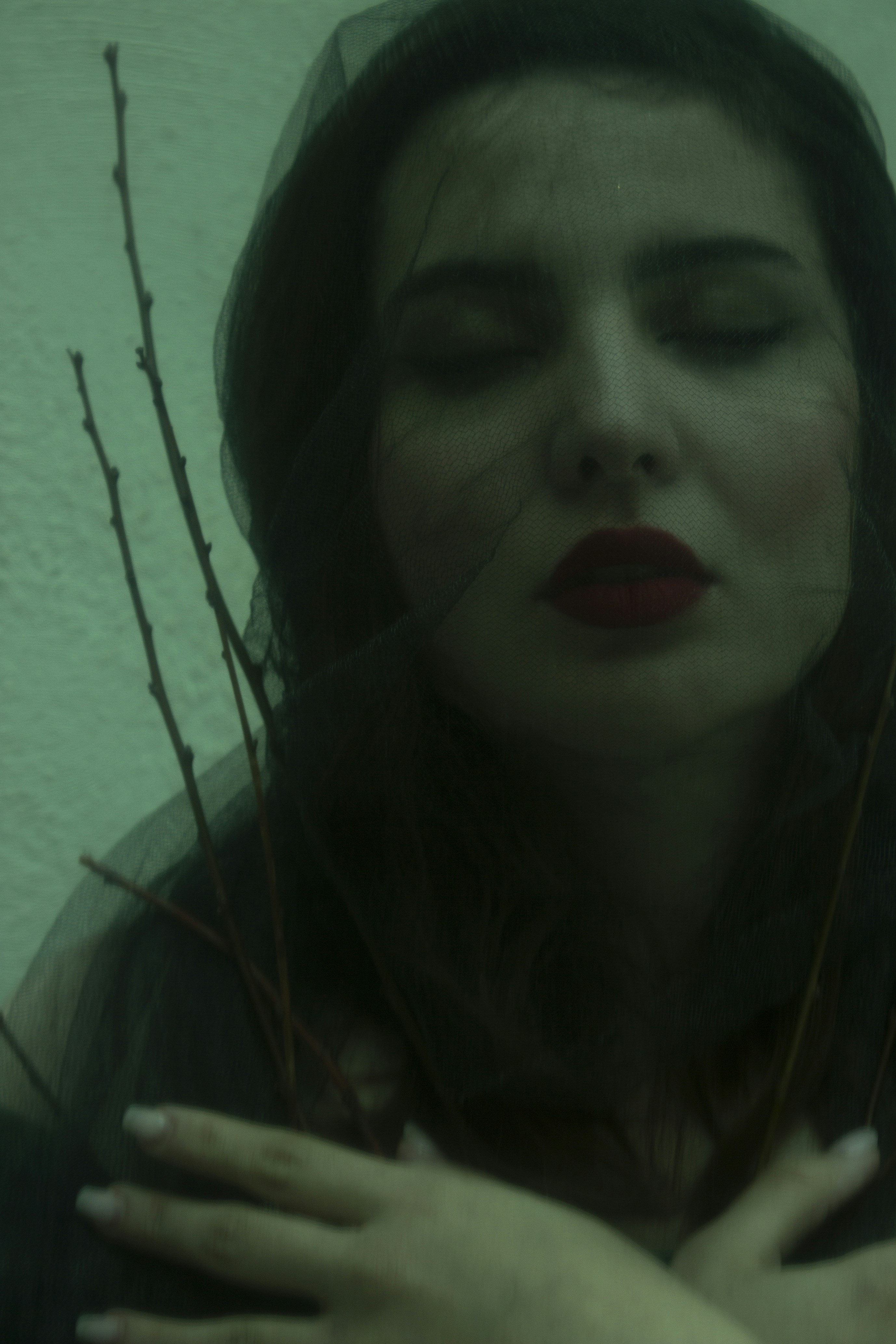 Photo by baranlotfollahi