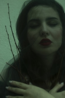 A person with closed eyes, wearing dark makeup and red lipstick, is partially wrapped in a sheer black fabric. Sparse, thin branches protrude around the face, adding an element of nature. The greenish lighting gives a serene yet mysterious feel, with the individual's hands crossed over their chest.