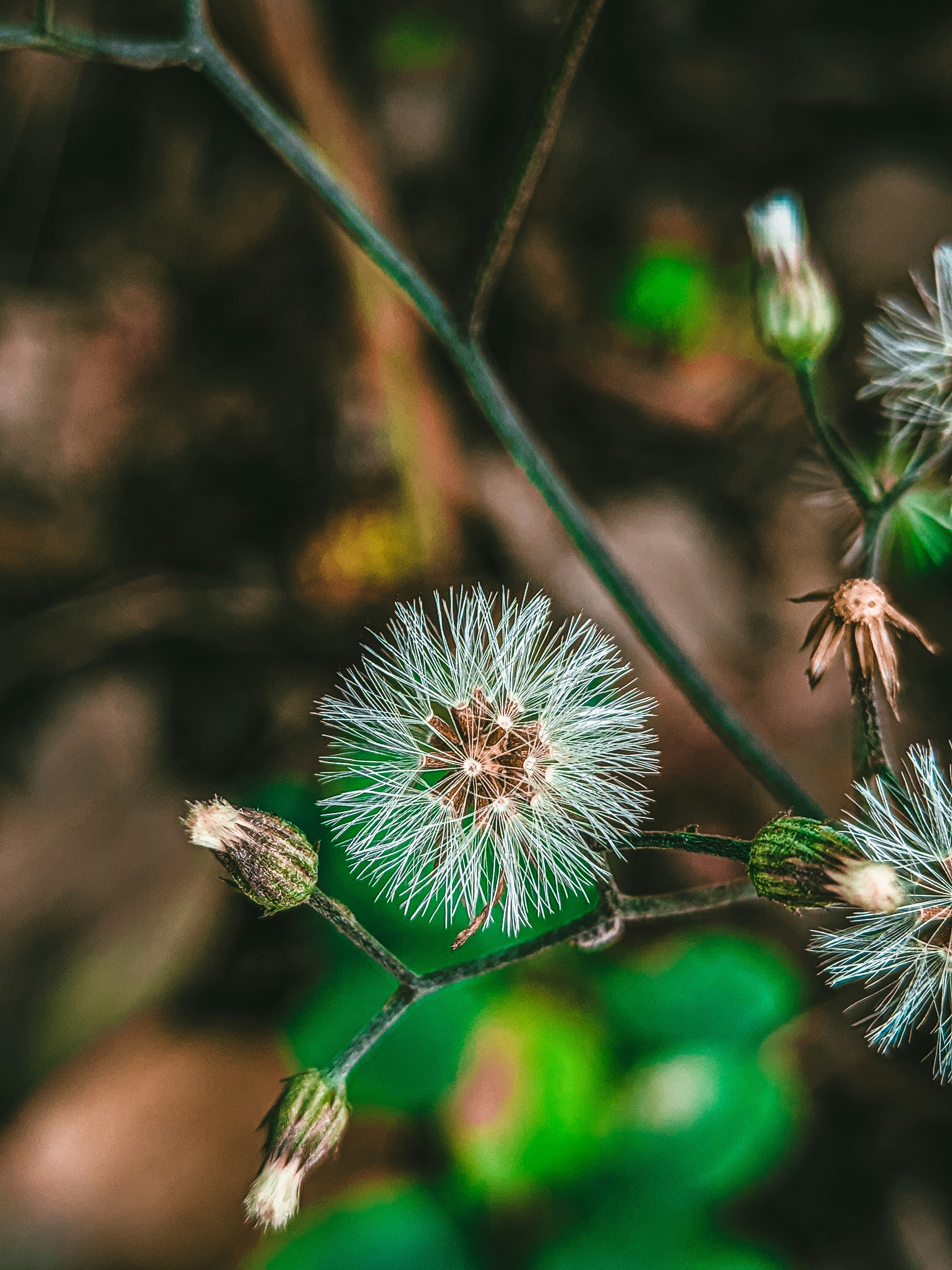 Photo by mubinurrahmanmrp