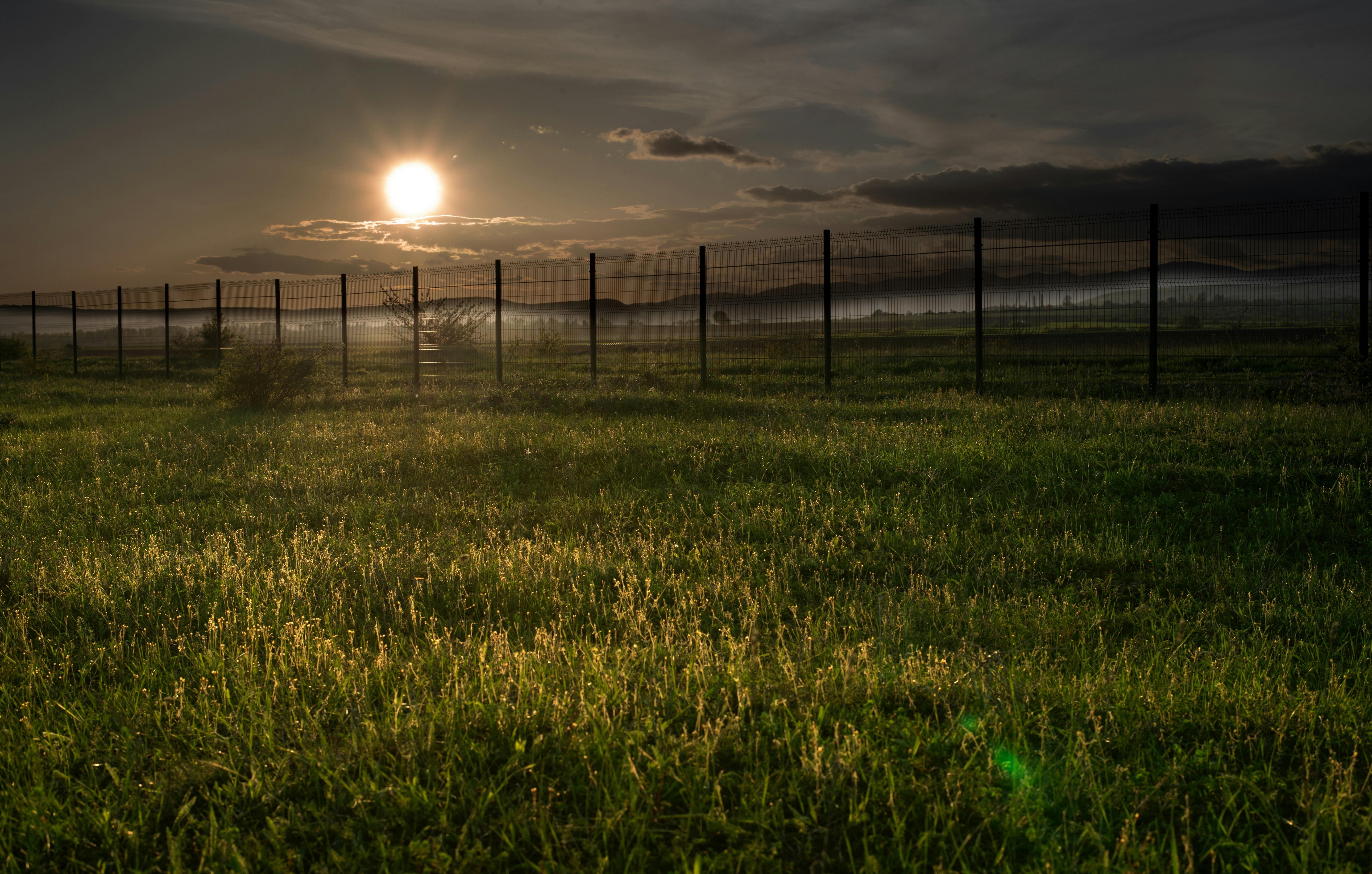 Le soleil se couche sur un champ herbeux