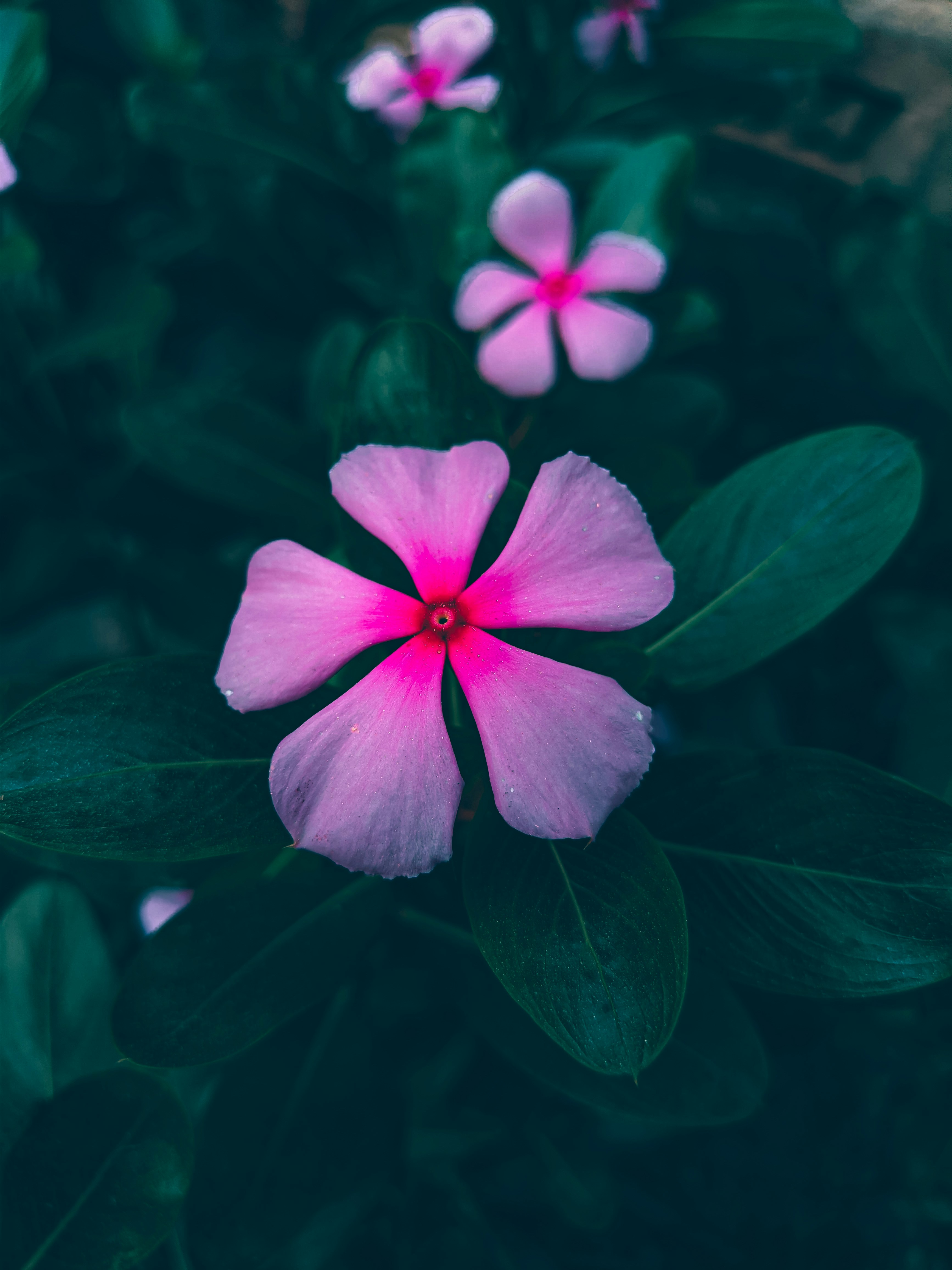 Photo by mubinurrahmanmrp