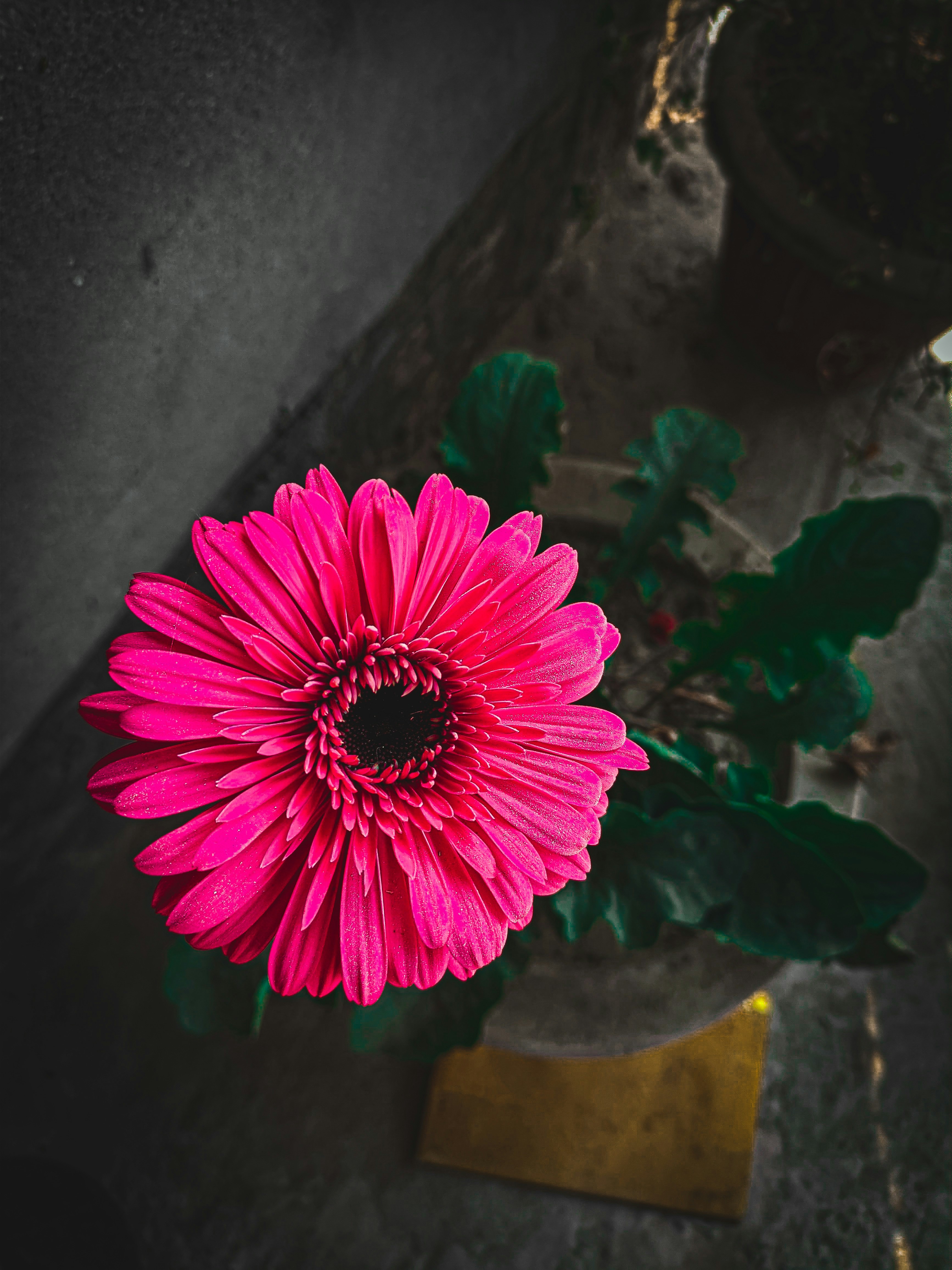 Photo by mubinurrahmanmrp