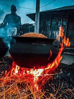 Traditional Pongal pots boiling over with fresh harvest in a village setting