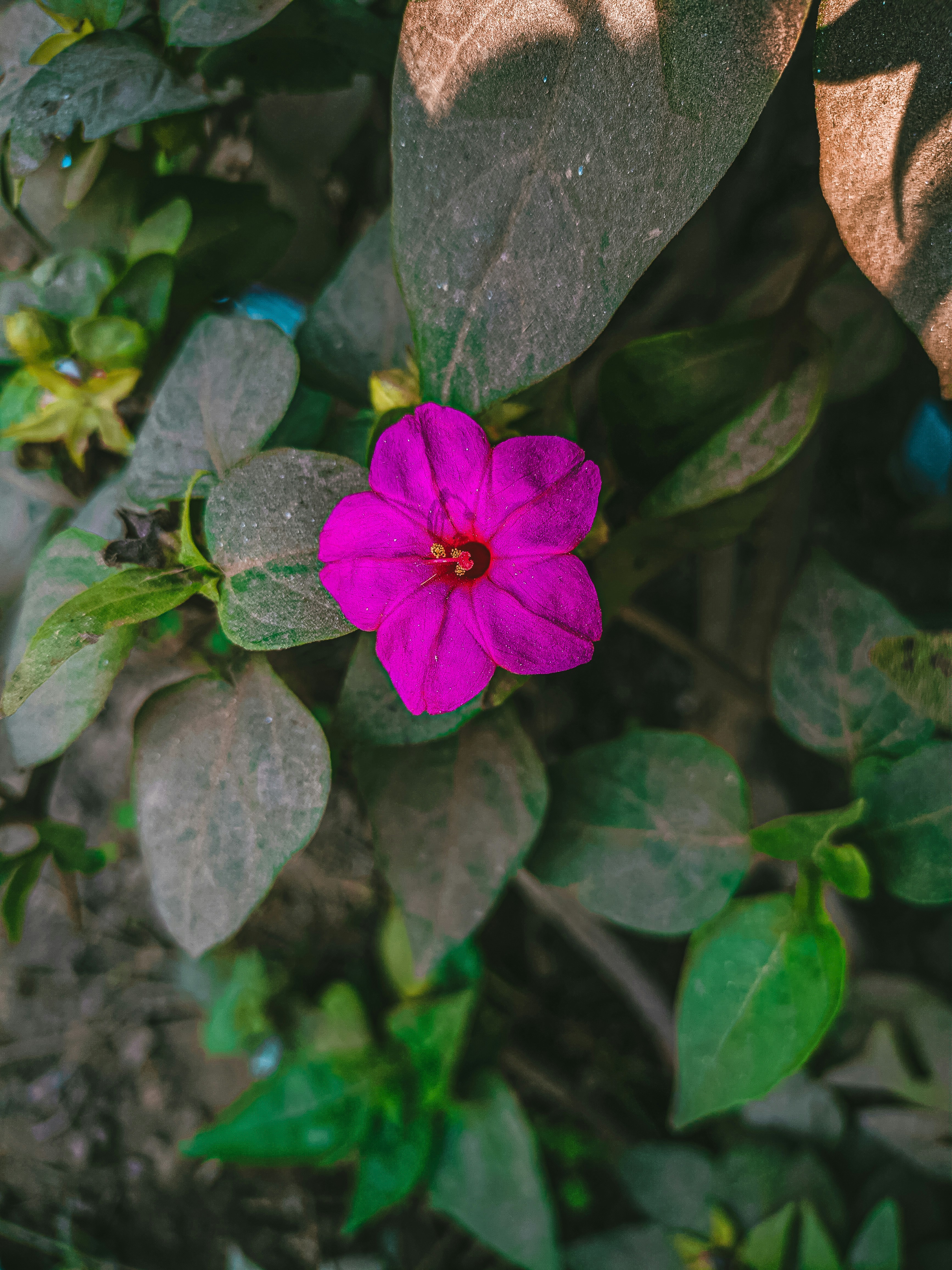 Photo by mubinurrahmanmrp