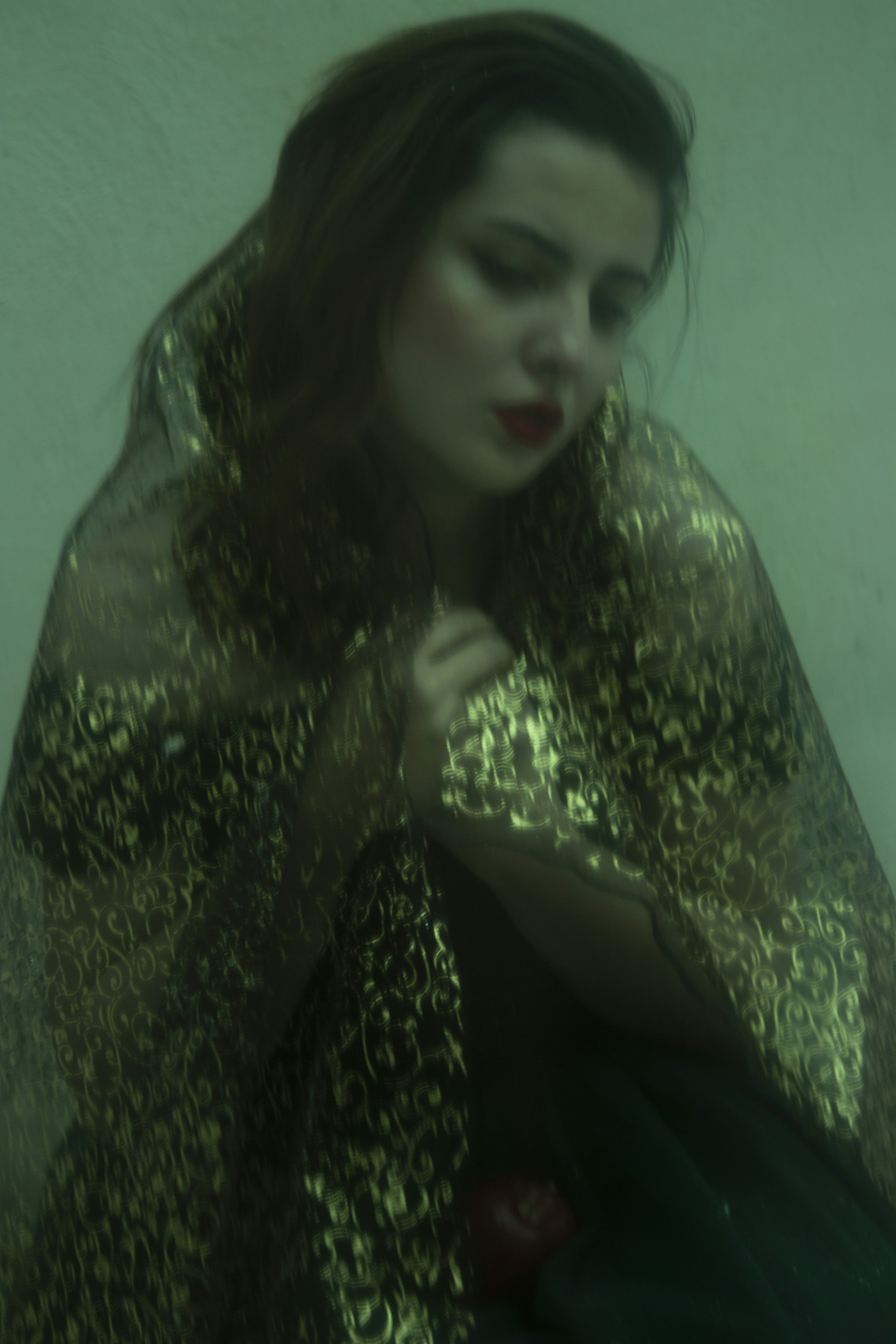 Photo by baranlotfollahi