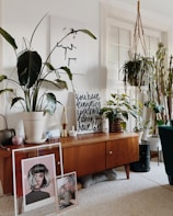 A cozy living room corner with a mid-century modern wooden sideboard featuring houseplants in various pots. Artworks are leaning against the cabinet, including a portrait and a family photo. A framed print with motivational text stands atop the sideboard, surrounded by stylish decor items such as a small lamp and a decorative container. The space is bright, with natural light coming through a window, and the overall decor exudes a homey and artistic vibe.