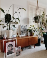 A bright living room corner featuring a stylish, functional organizer and cozy decor.