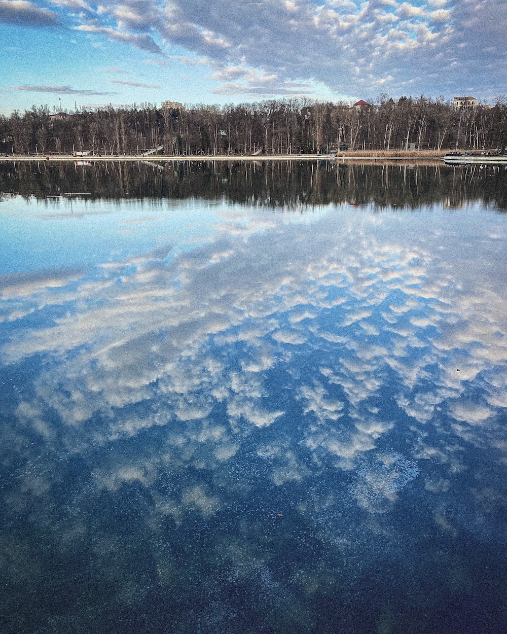 un grande specchio d'acqua circondato da alberi