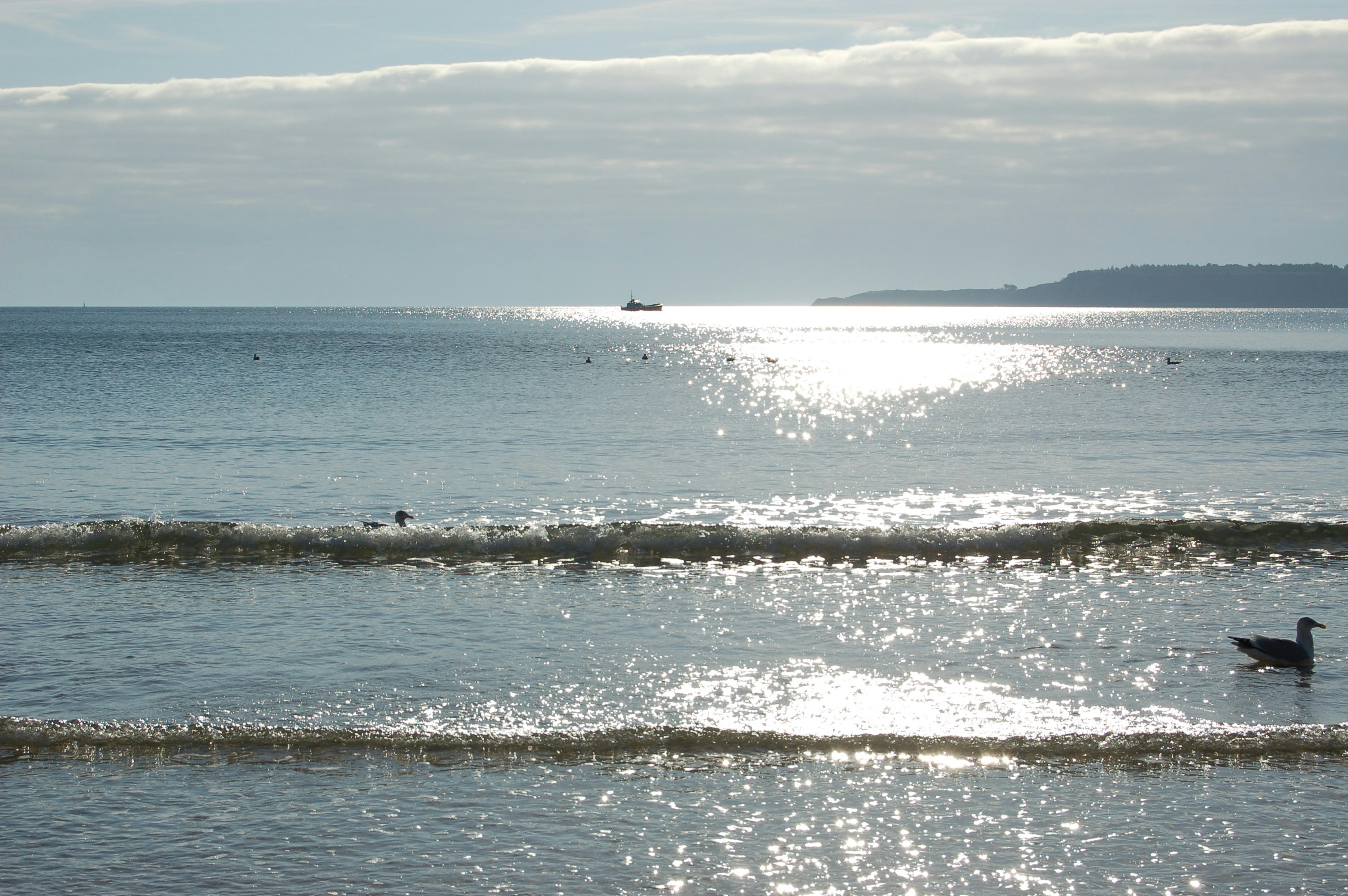 Photo by viewwebdesign