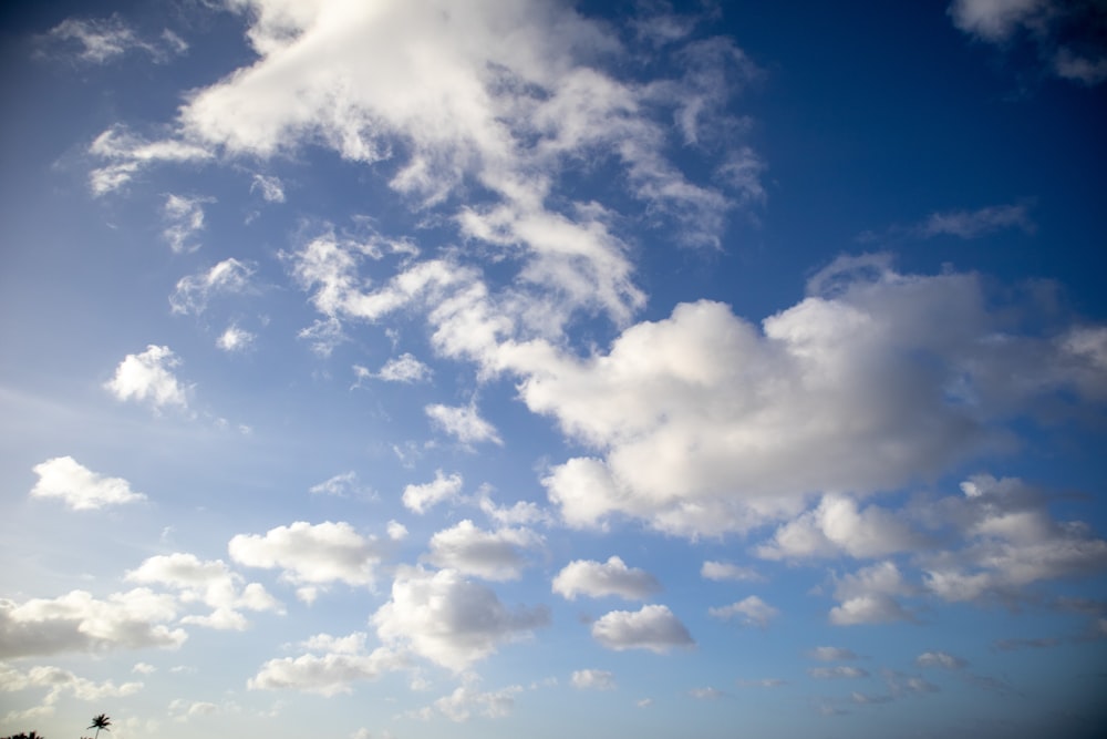 a blue sky with white clouds and some trees