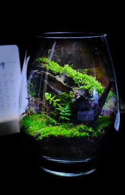 a glass filled with water and moss next to a book