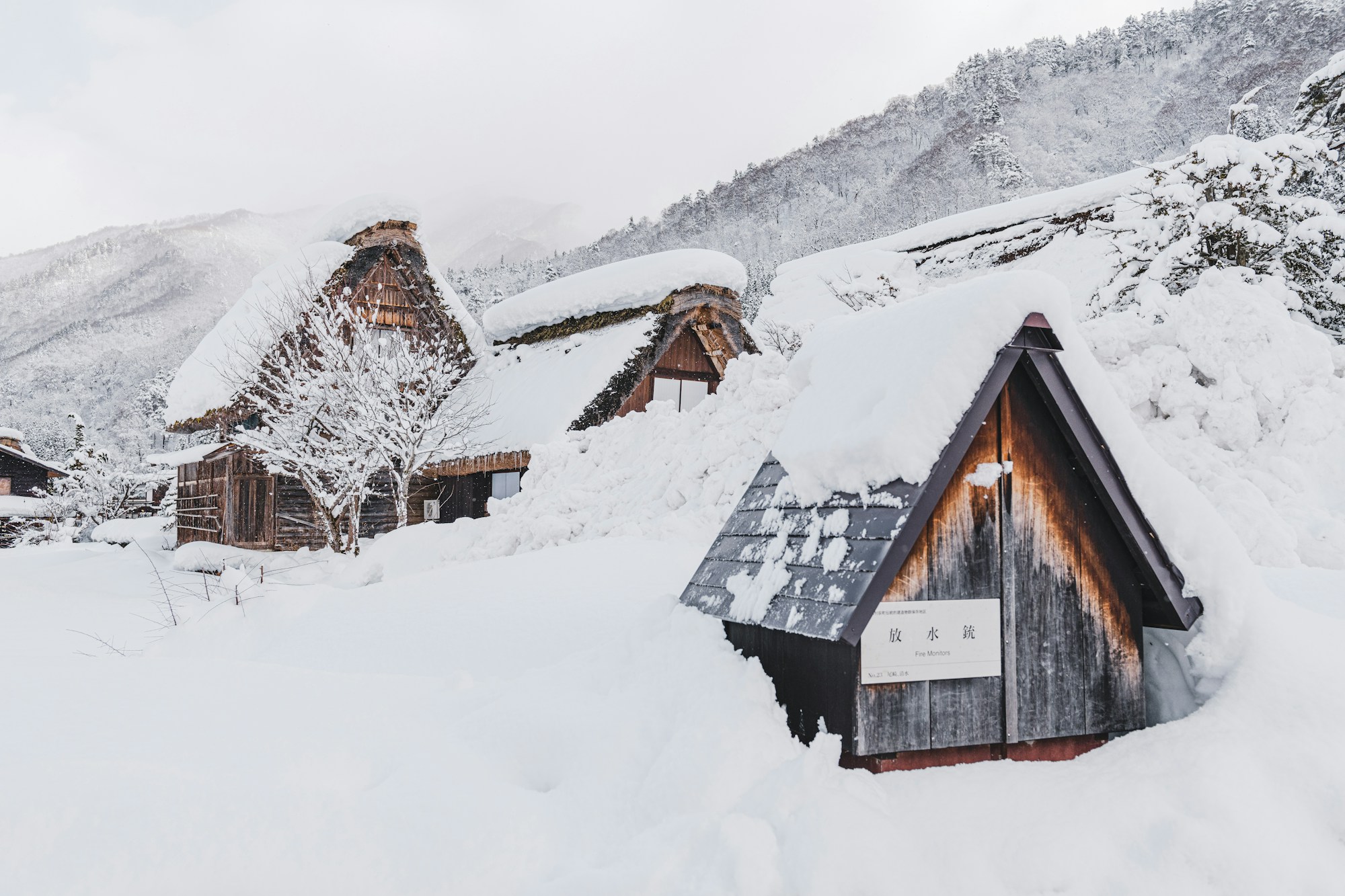 Best Times to Visit Gifu: Seasonal Weather Guide
