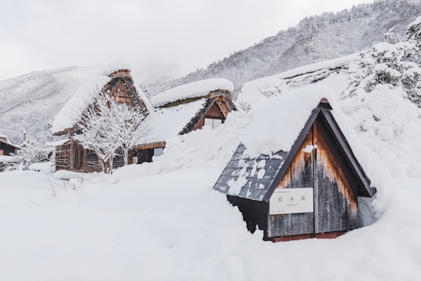 Best Times to Visit Gifu: Seasonal Weather Guide