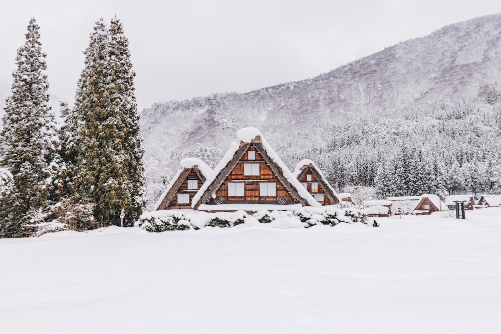 uma cabana no meio de um campo nevado