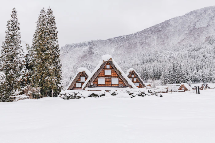 A thatched farmhouse in a snowy field