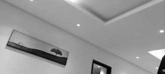 A black and white photograph of a modern interior showing an angled ceiling with recessed lighting. A long rectangular picture hangs on a white wall, depicting a minimalist landscape with a tree and birds. A section of a dark-framed doorway is visible, reflecting light from further inside the room.