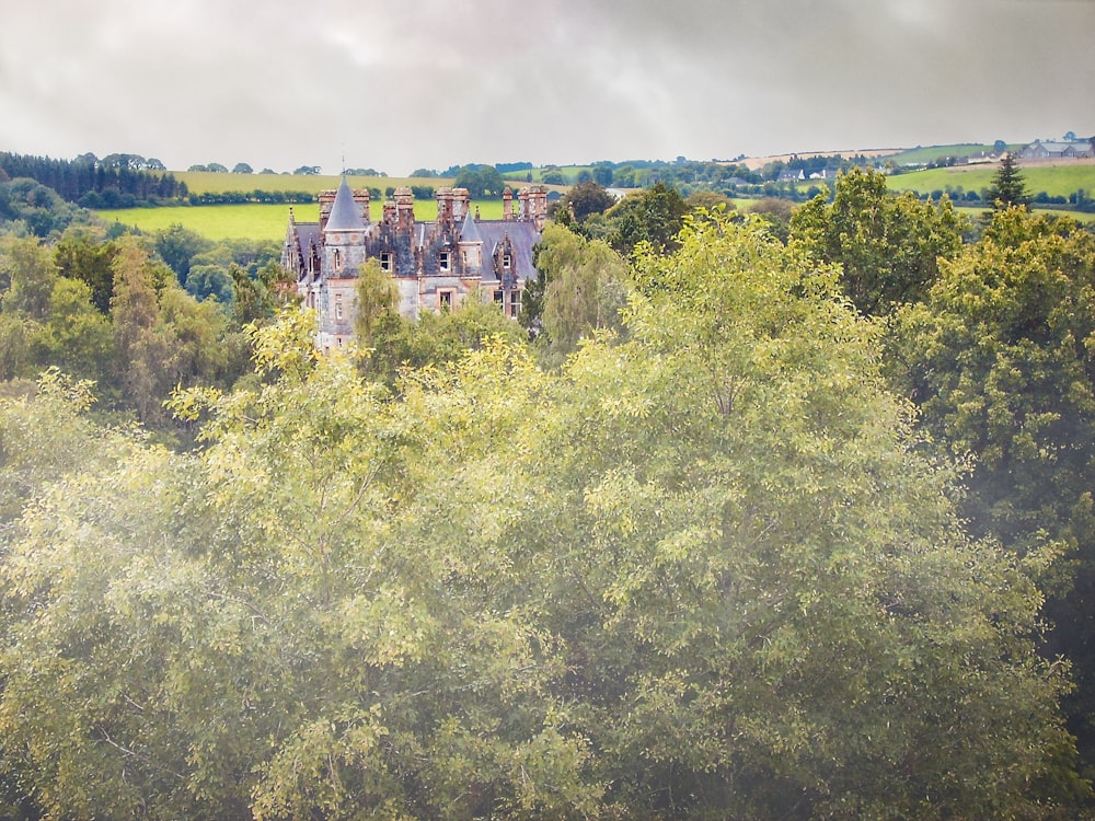 an aerial view of a castle surrounded by trees