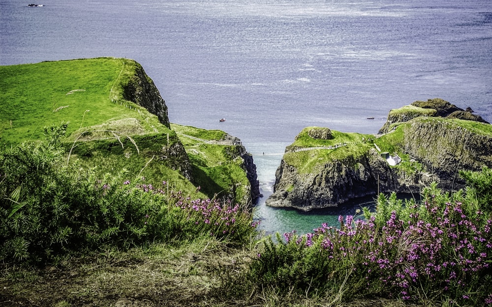 a body of water surrounded by a lush green hillside