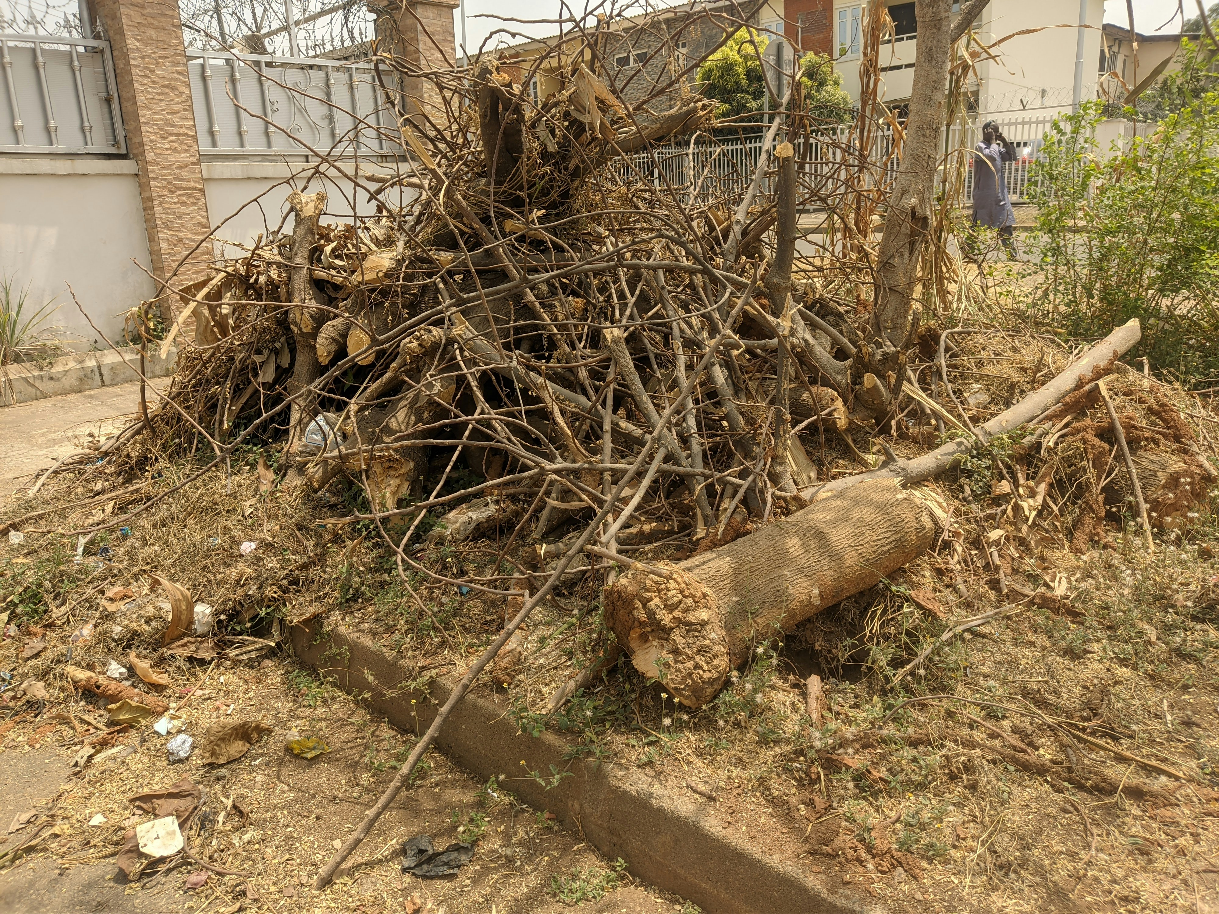 Overgrown yard with piled branches and yard debris in Tennessee, sunlit afternoon, suburban setting