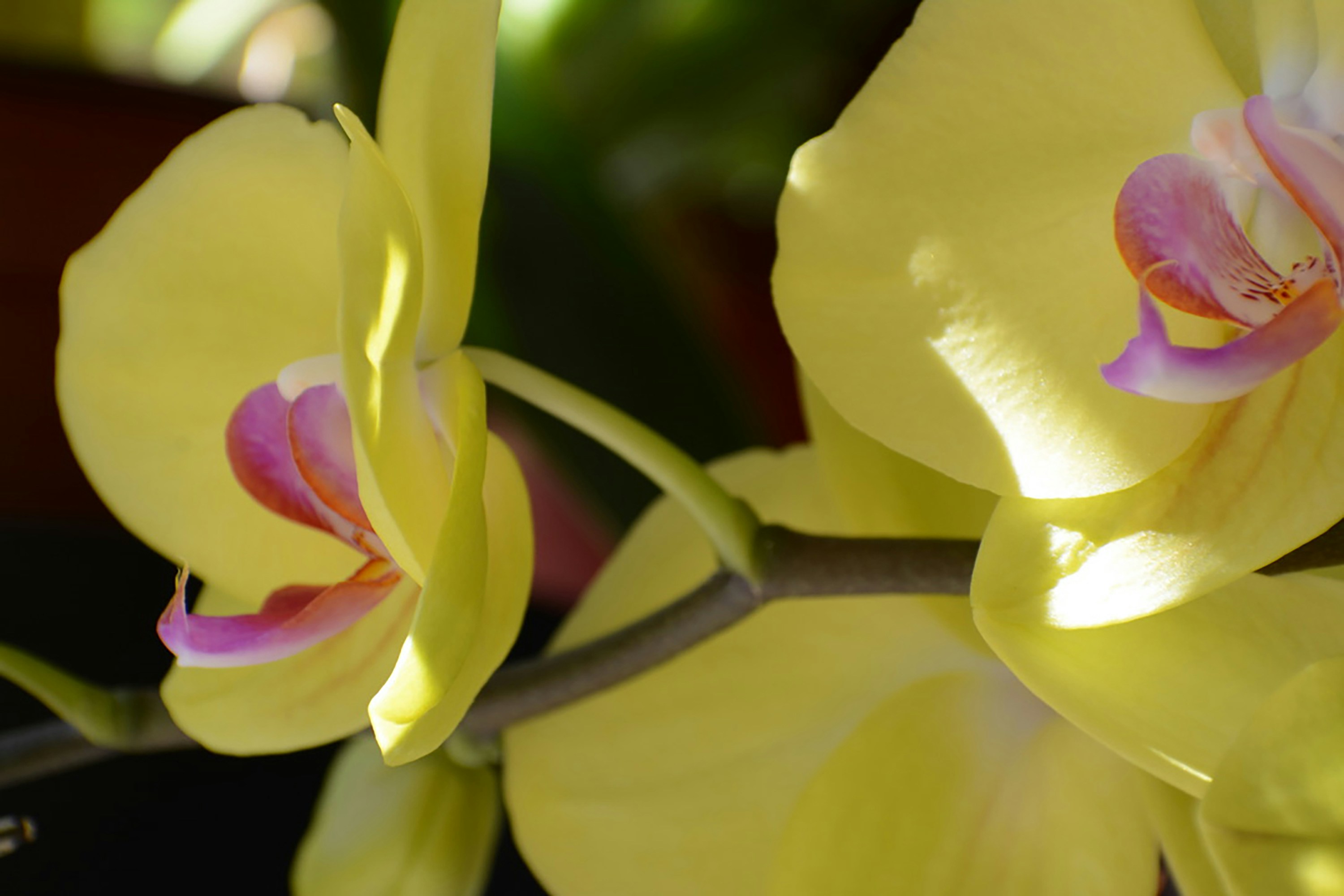 Photo by bymiyashiro