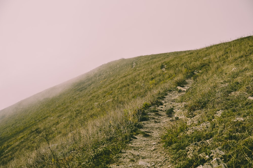 a grassy hill with a trail going up it