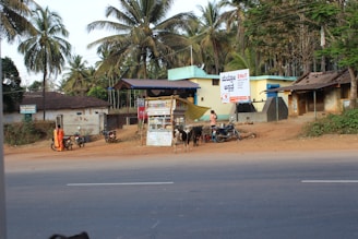 A rural scene featuring a roadside stall surrounded by a few motorcycles and cows. The area is lined with palm trees and has several small buildings, one of which has signs in a local language. A person dressed in traditional clothing stands by the roadside.