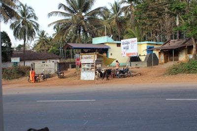 A rural scene featuring a roadside stall surrounded by a few motorcycles and cows. The area is lined with palm trees and has several small buildings, one of which has signs in a local language. A person dressed in traditional clothing stands by the roadside.