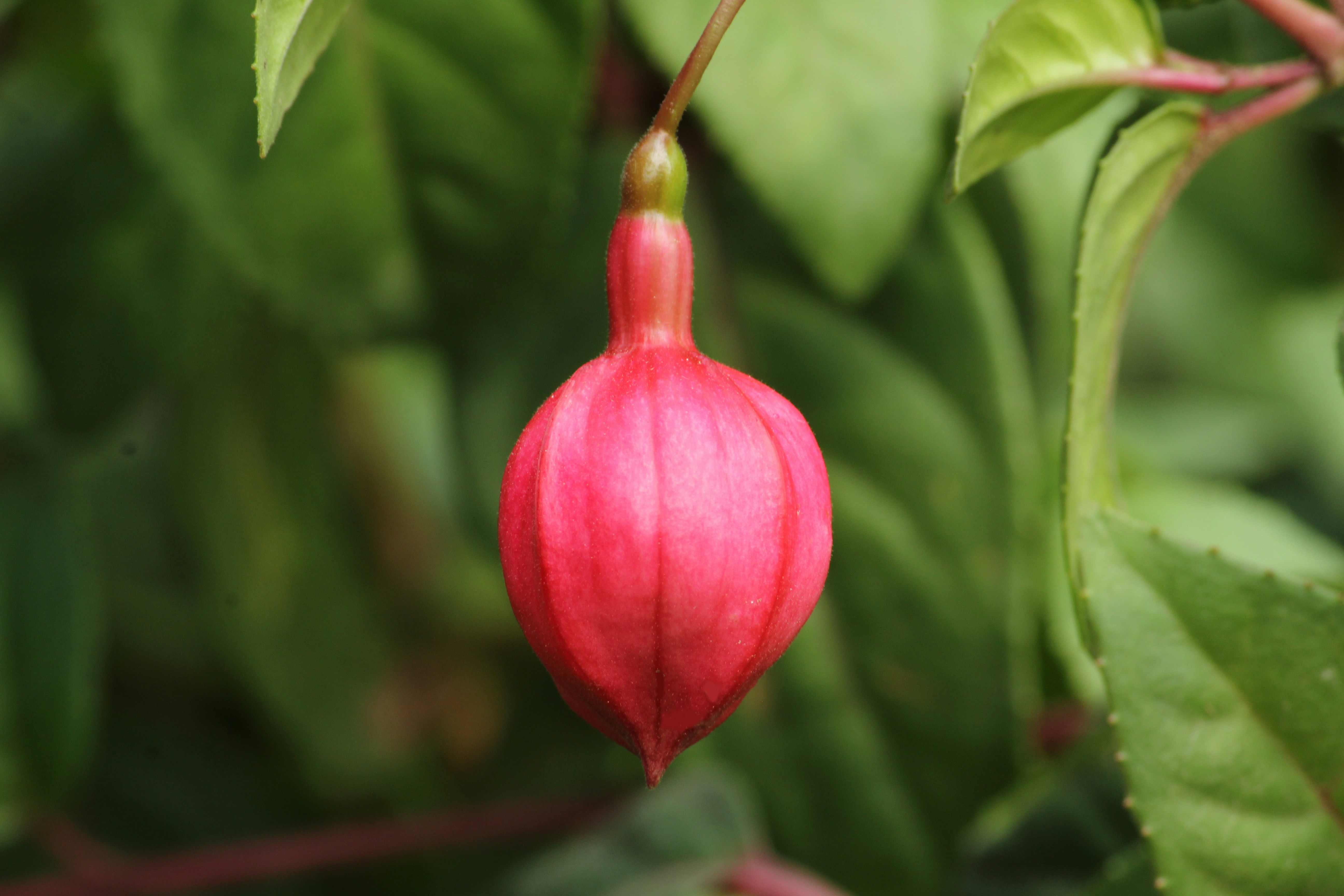 Photo by rajeshphotographer